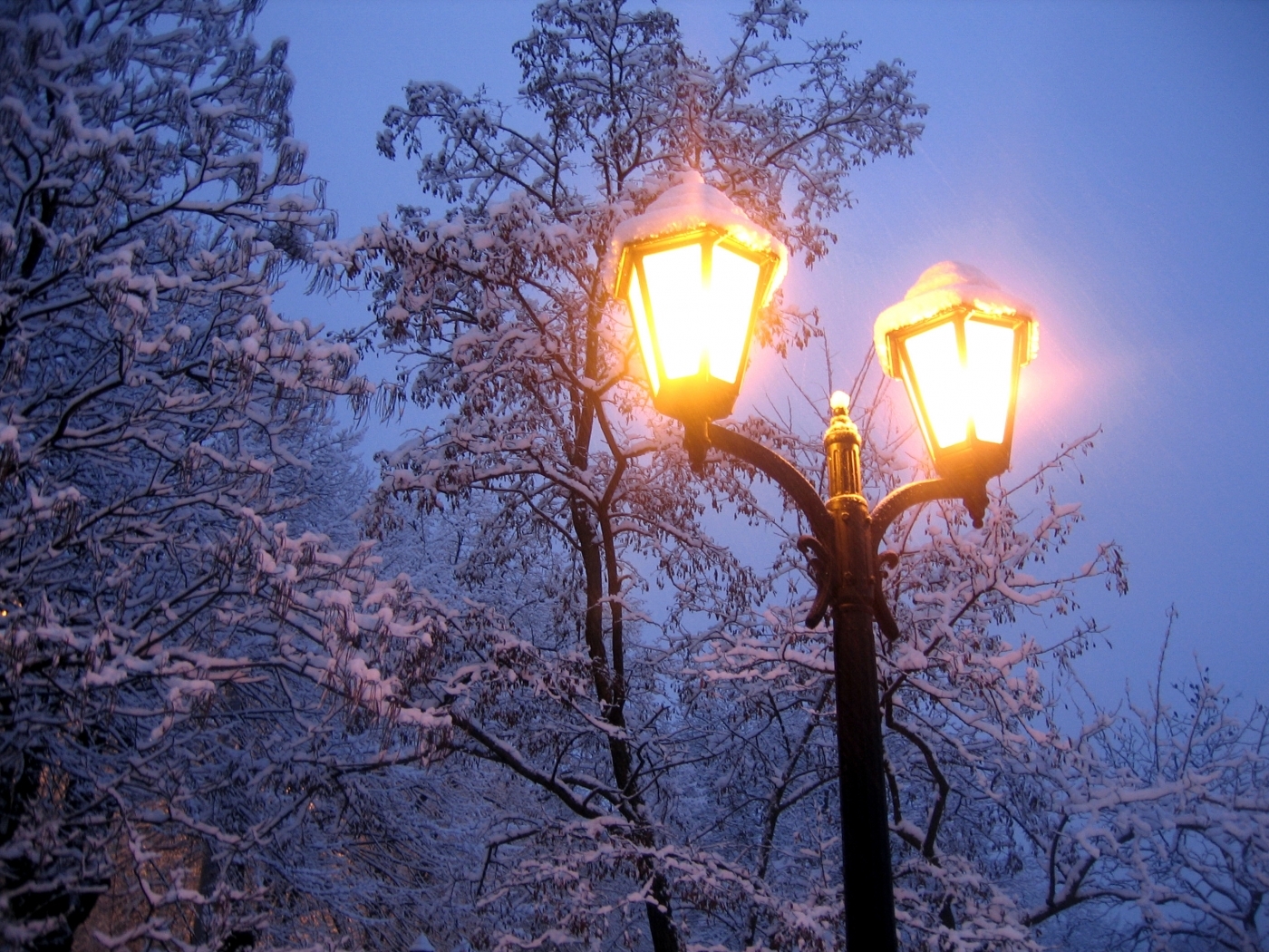 Скачать обои бесплатно Снег, Ночь, Деревья, Пейзаж, Зима картинка на рабочий стол ПК