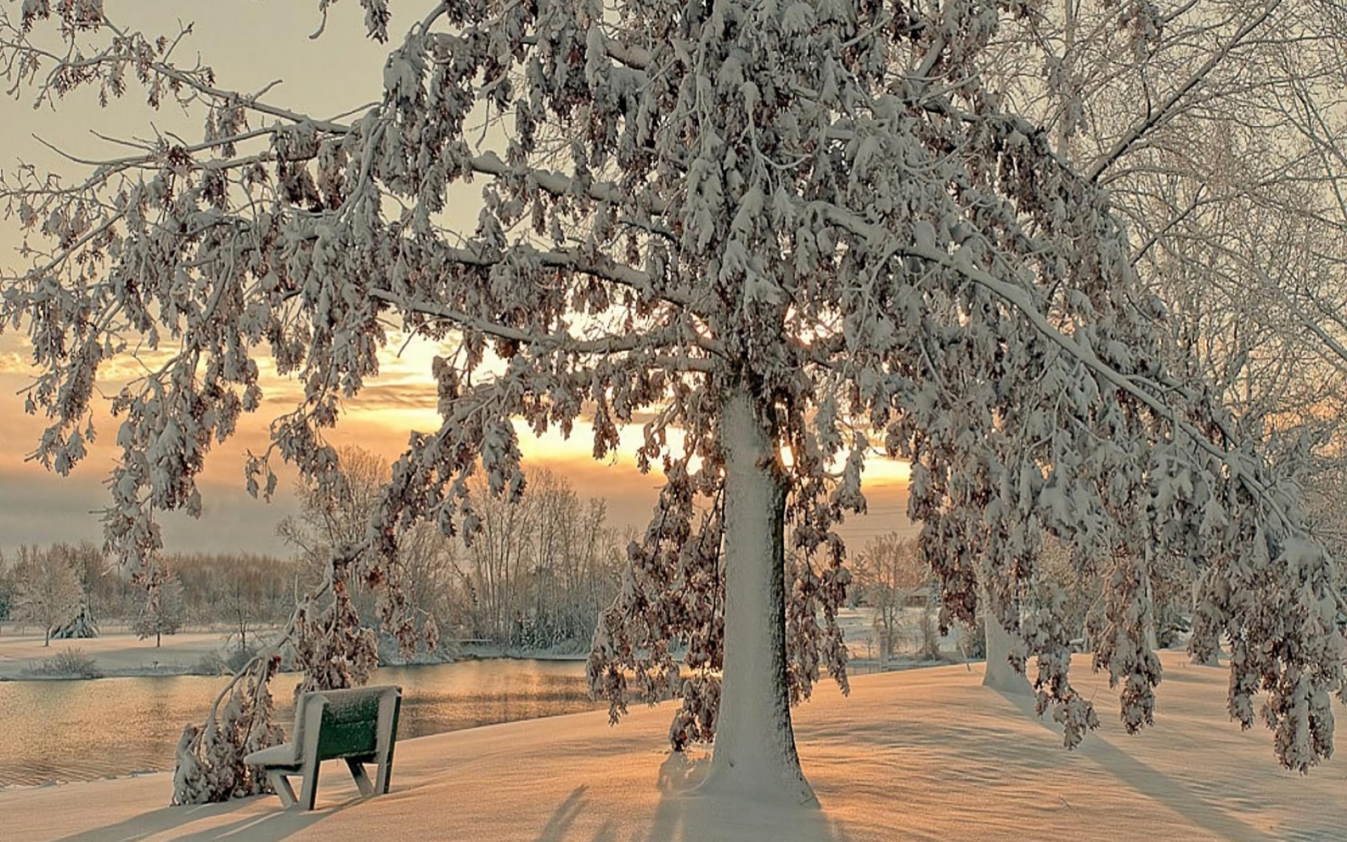 Free download wallpaper Winter, Snow, Lake, Tree, Earth, Bench, Photography on your PC desktop