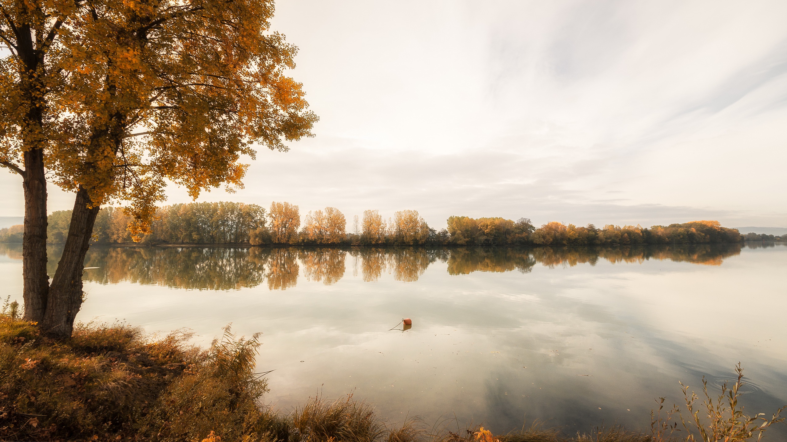 Descarga gratuita de fondo de pantalla para móvil de Naturaleza, Otoño, Rio, Tierra/naturaleza, Reflejo.