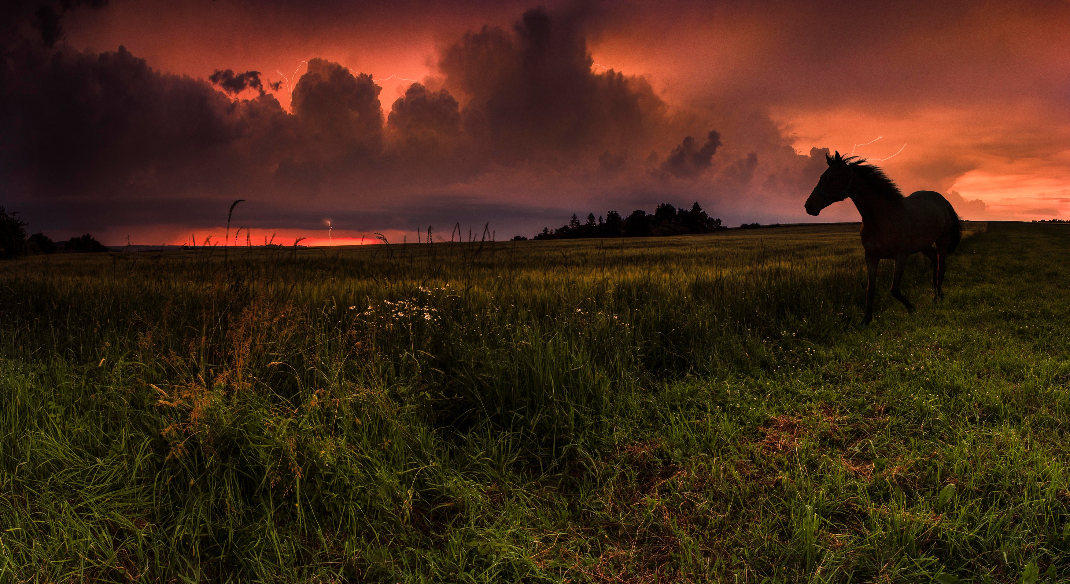Free download wallpaper Sunset, Silhouette, Animal, Cloud, Horse on your PC desktop