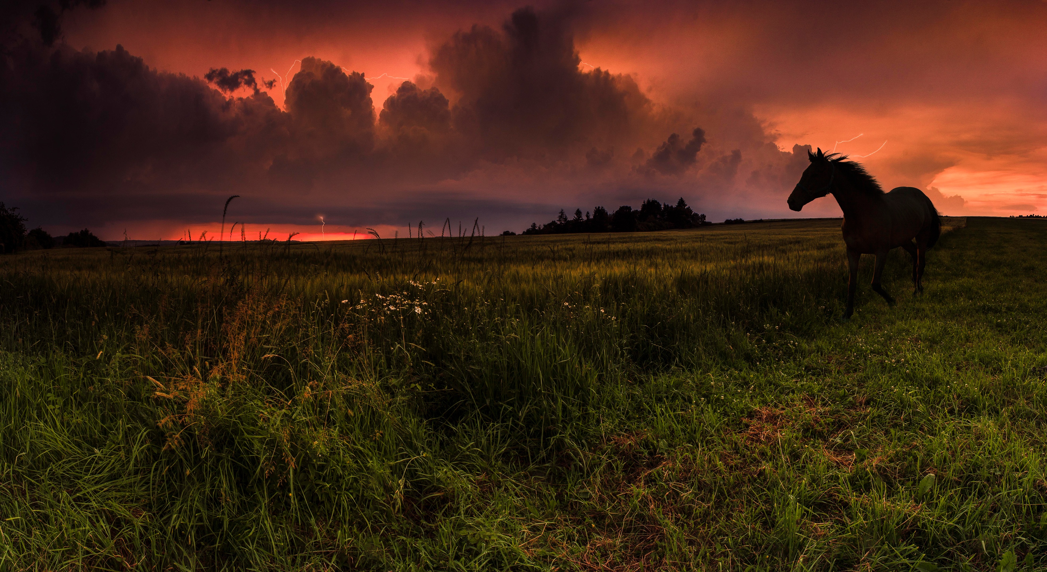 Téléchargez des papiers peints mobile Animaux, Coucher De Soleil, Silhouette, Nuage, Cheval gratuitement.