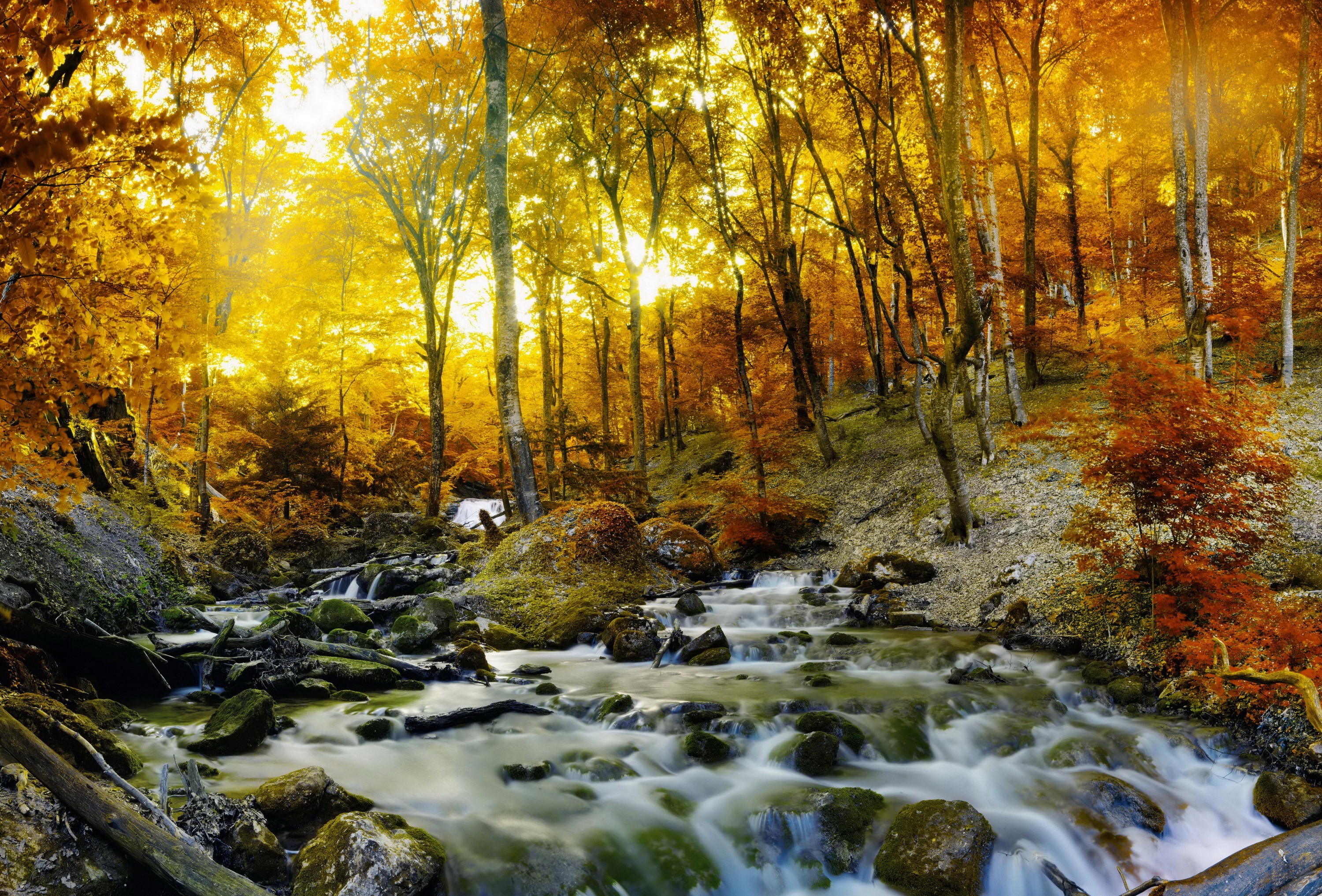 Скачать картинку Осень, Лес, Камень, Солнечный Свет, Ручей, Земля/природа в телефон бесплатно.