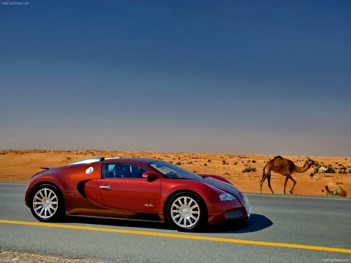 Скачать картинку Транспорт, Бугатти (Bugatti), Машины в телефон бесплатно.