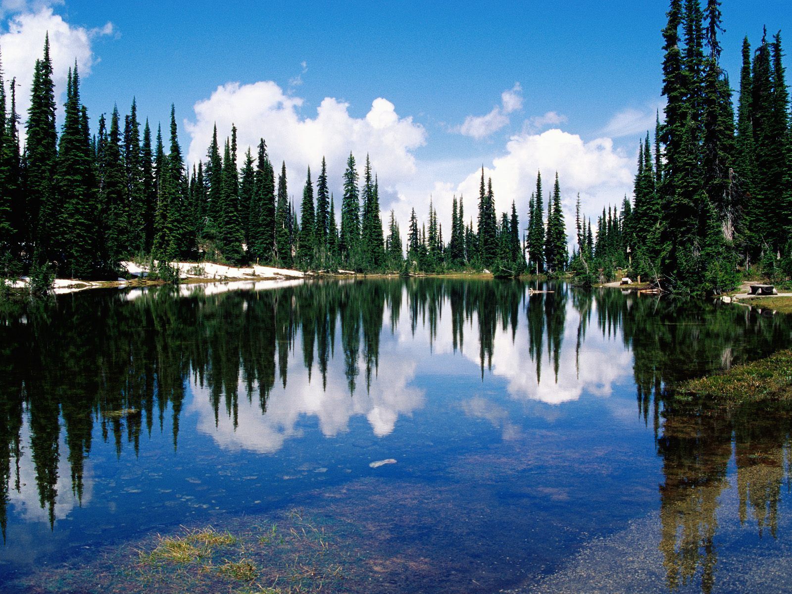50387 скачать картинку канада, природа, вода, деревья, озеро, отражение, берег, хвойные, прозрачная - обои и заставки бесплатно