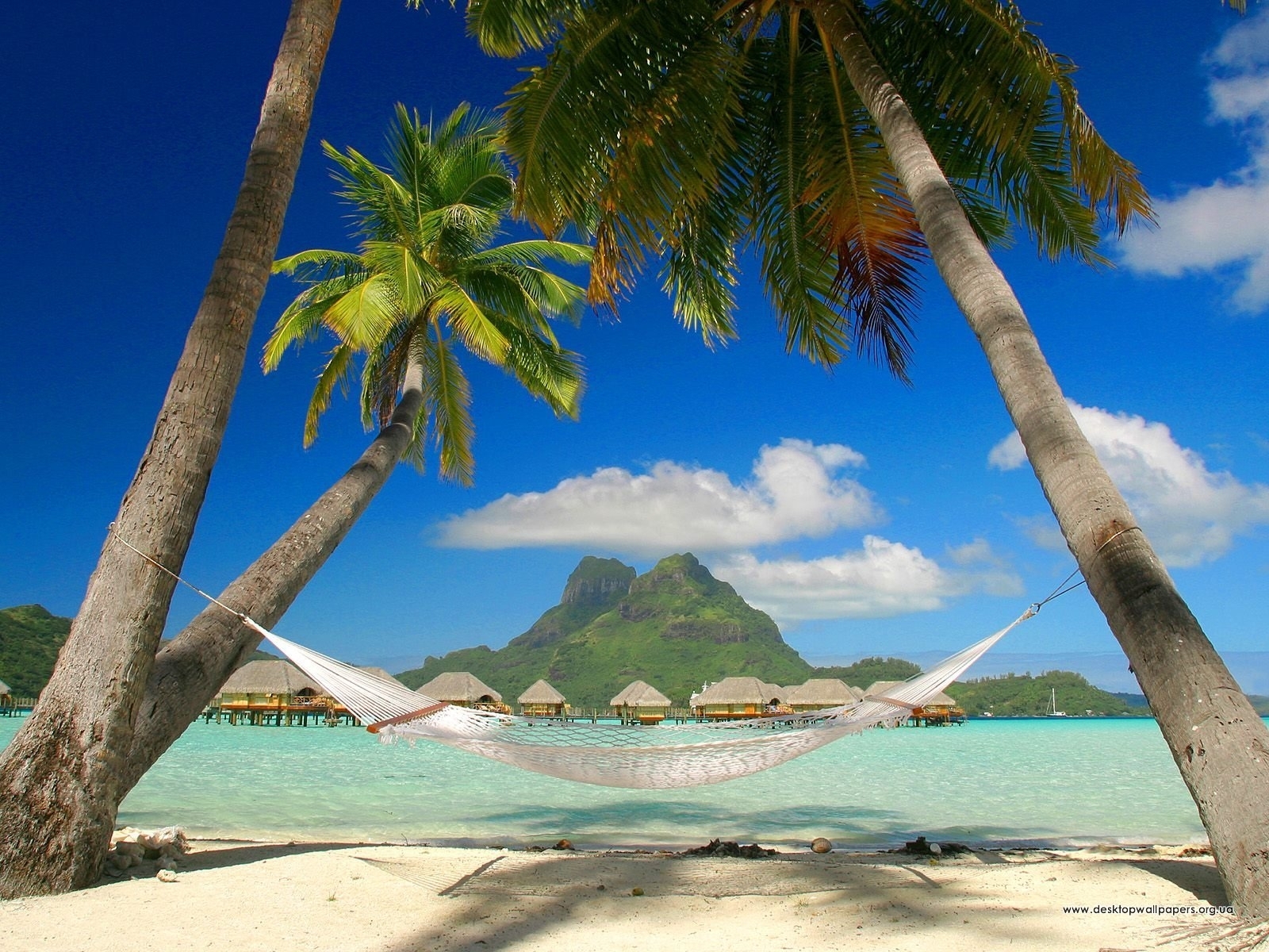 Laden Sie das Landschaft, Bäume, Palms, Strand-Bild kostenlos auf Ihren PC-Desktop herunter