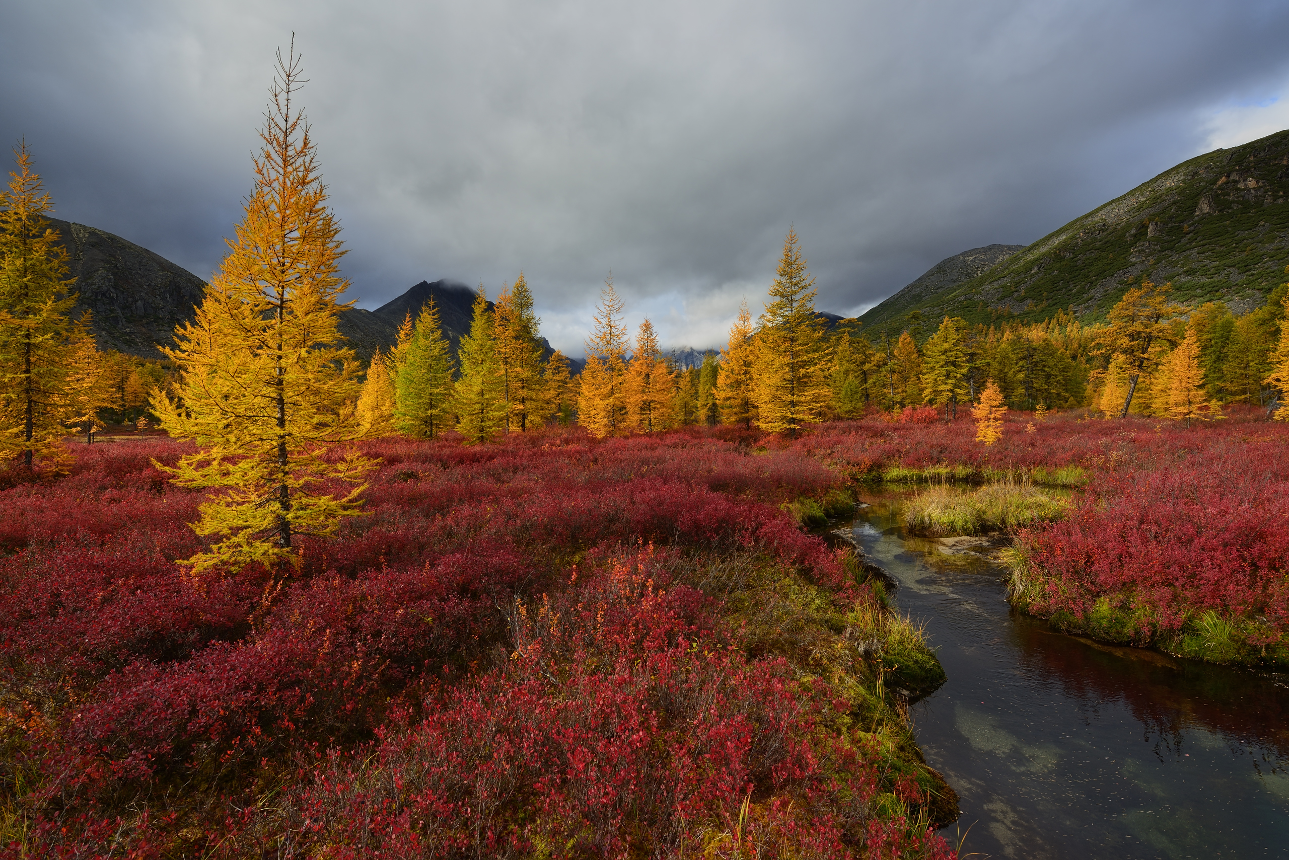 PCデスクトップに風景, 木, 秋, 地球画像を無料でダウンロード