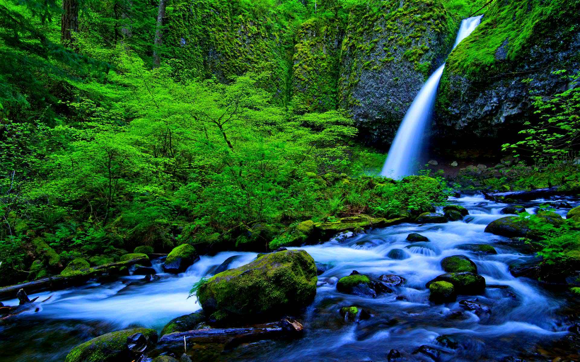 Скачать картинку Водопады, Водопад, Лес, Дерево, Зеленый, Мох, Ручей, Земля/природа в телефон бесплатно.