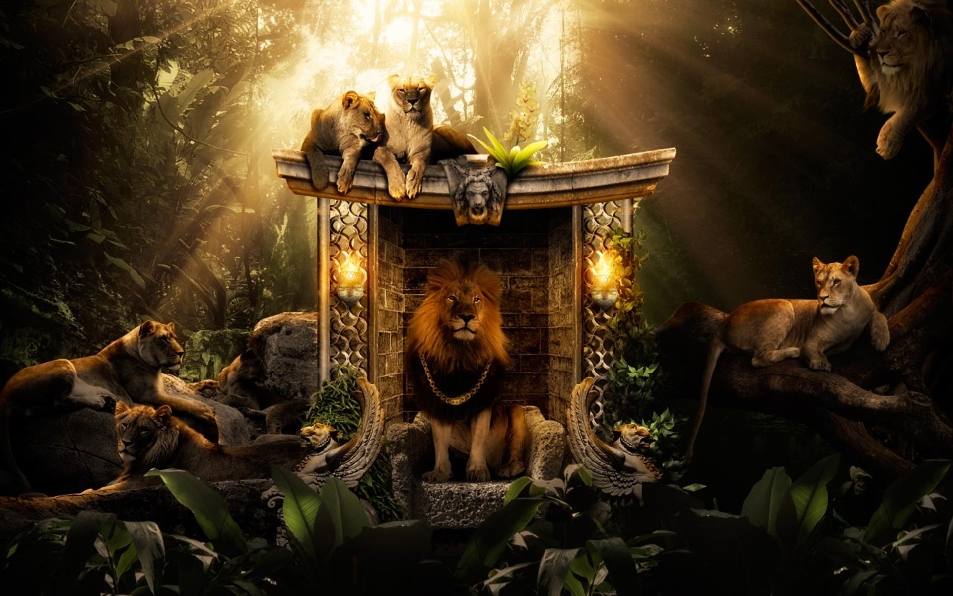 361899 descargar imagen animales, león, selva, gatos: fondos de pantalla y protectores de pantalla gratis