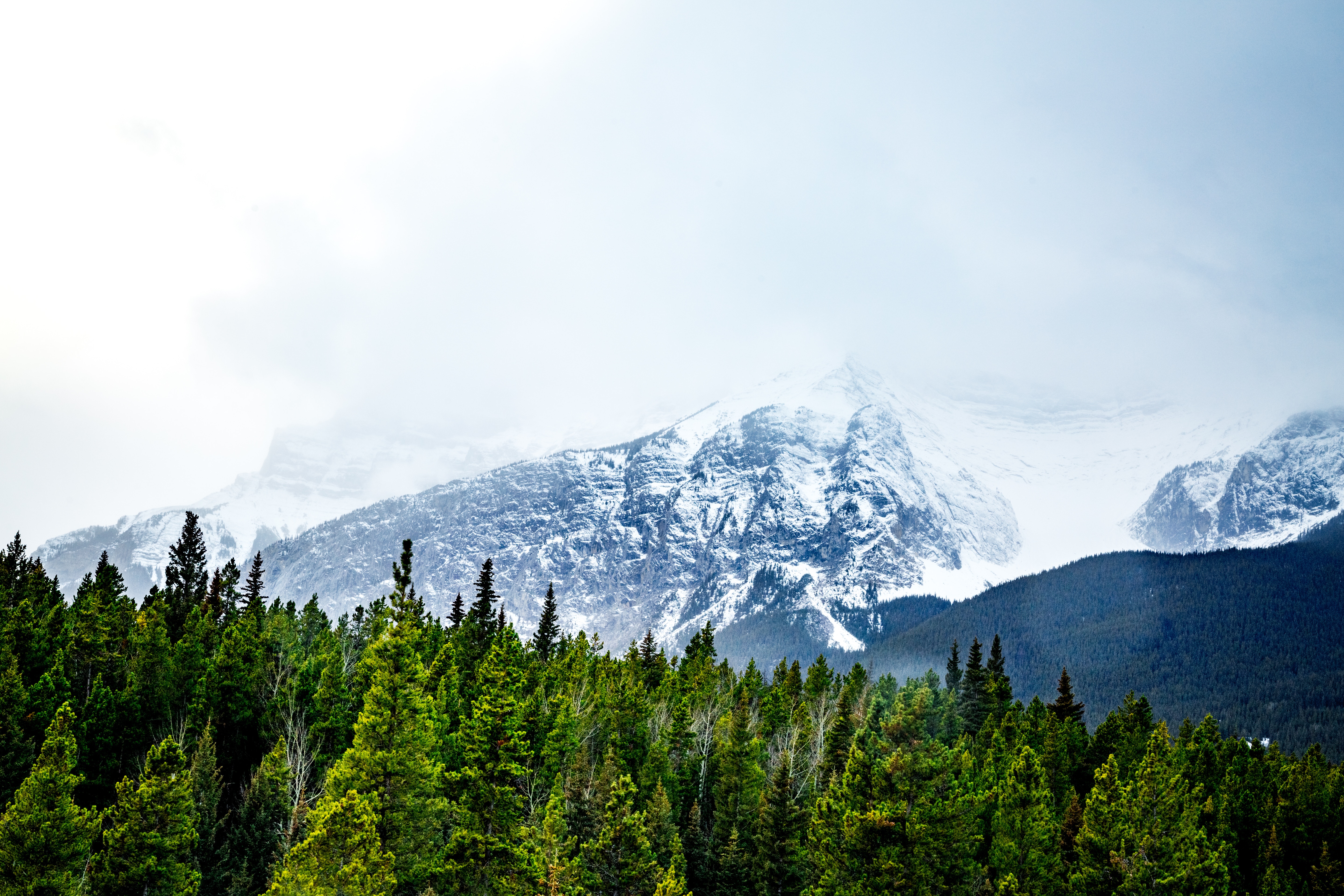 Скачать обои бесплатно Природа, Снег, Вершины, Деревья, Горы картинка на рабочий стол ПК