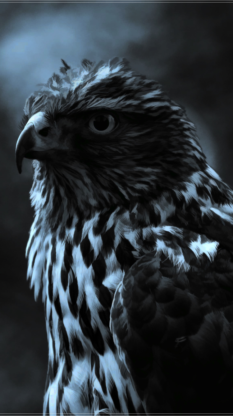 Download mobile wallpaper Birds, Bird, Falcon, Animal, Painting for free.