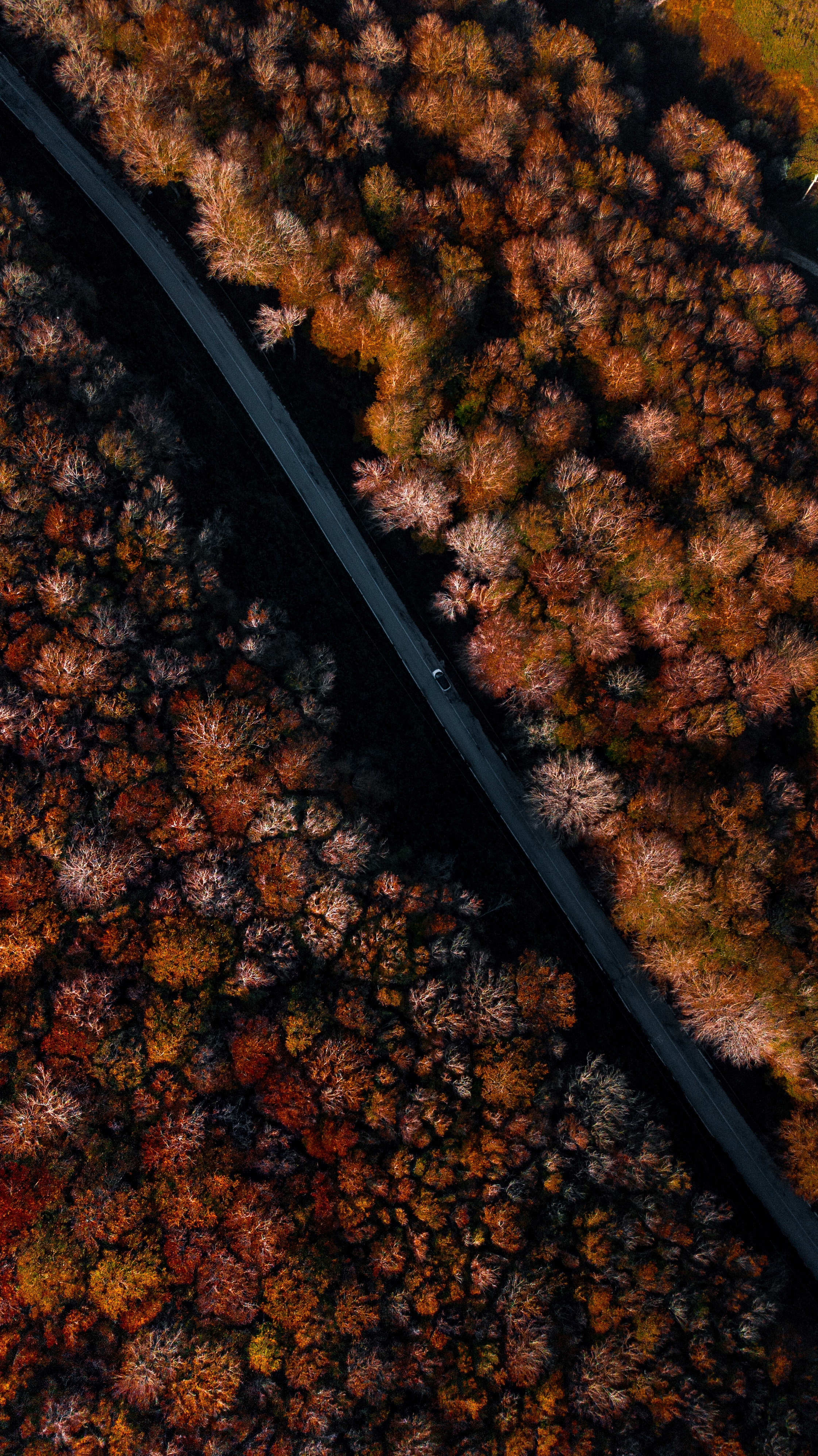 Free download wallpaper Trees, View From Above, Road, Nature, Forest, Autumn on your PC desktop
