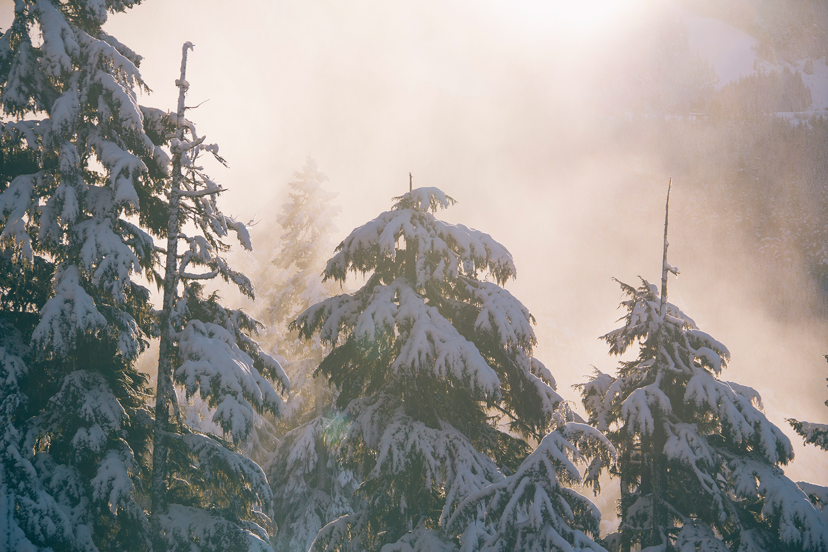 Téléchargez gratuitement l'image Hiver, Terre/nature sur le bureau de votre PC