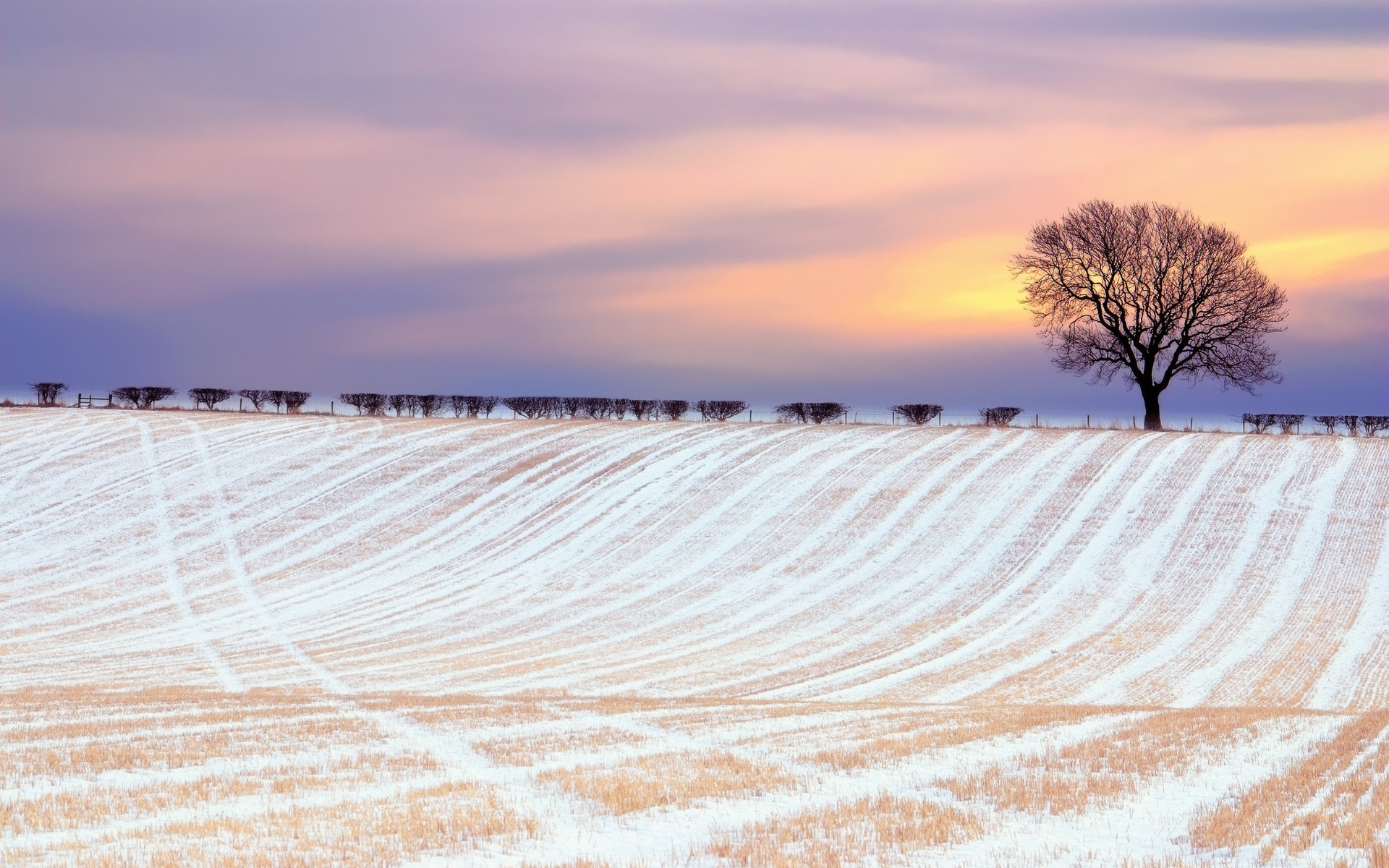 Download mobile wallpaper Winter, Trees, Sunset, Fields, Landscape for free.