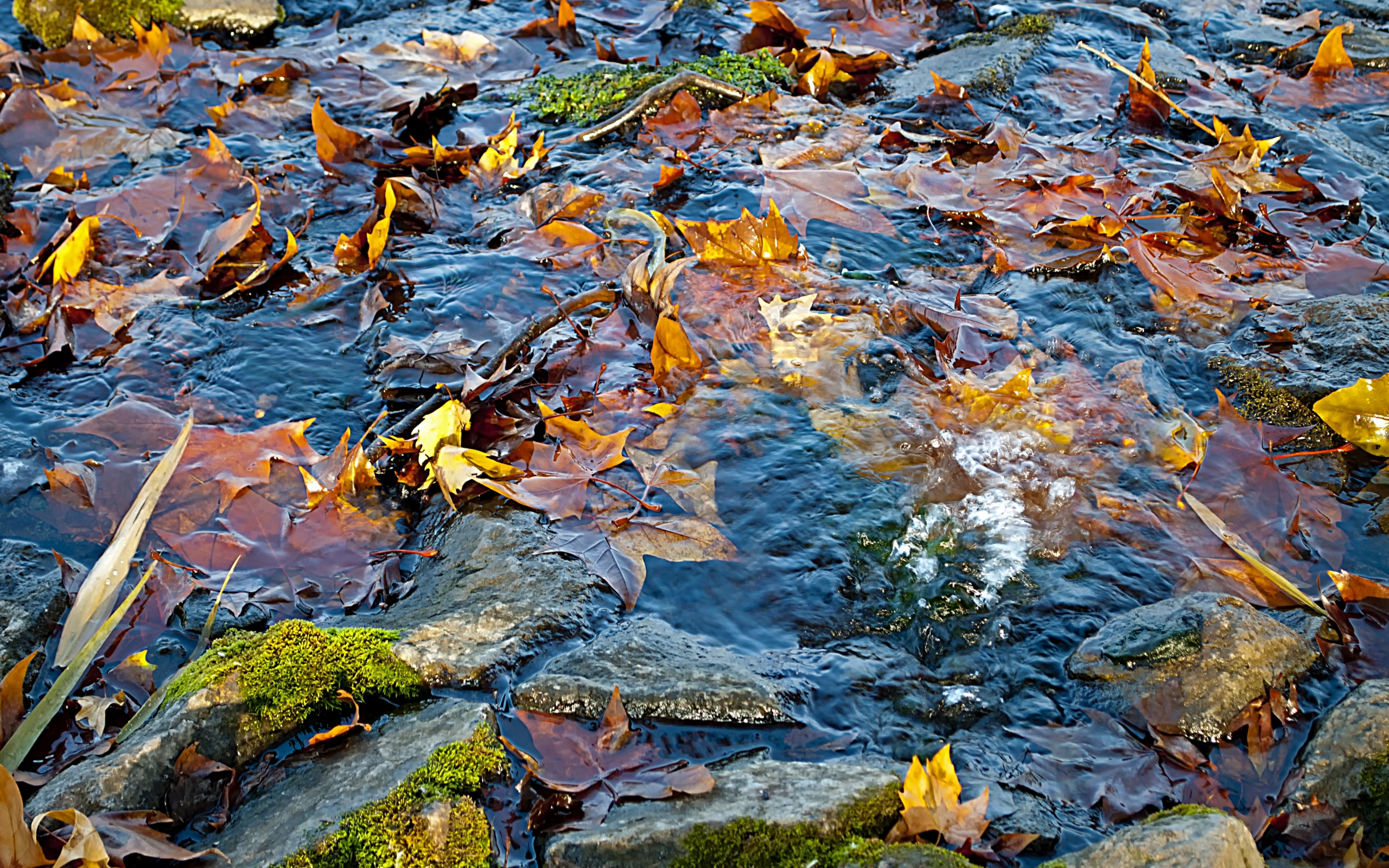 Laden Sie das Landschaft, Wasser, Herbst-Bild kostenlos auf Ihren PC-Desktop herunter