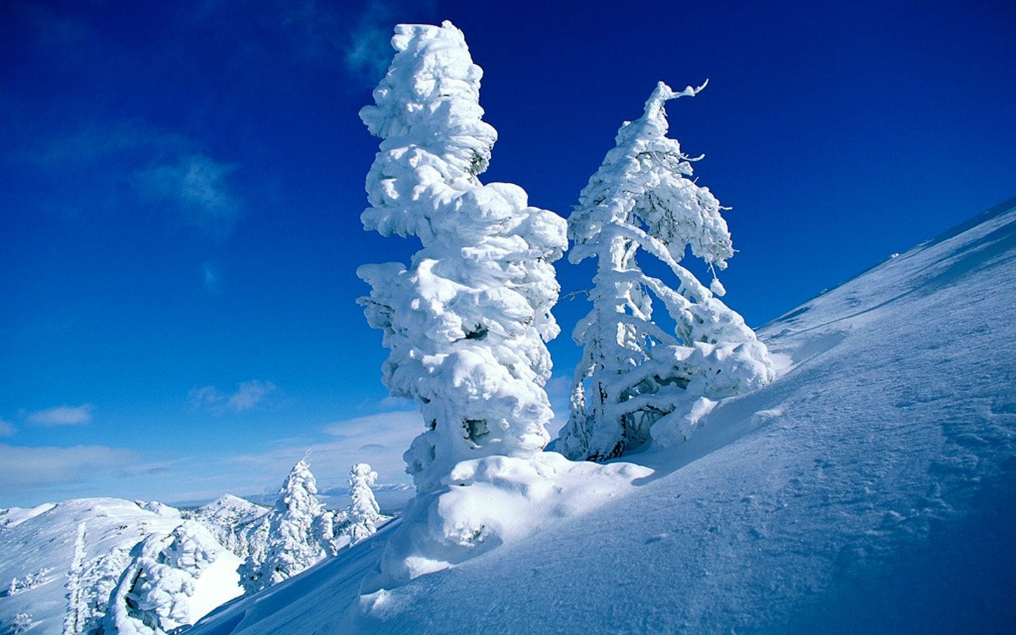 Скачати мобільні шпалери Пейзаж, Дерева, Сніг безкоштовно.