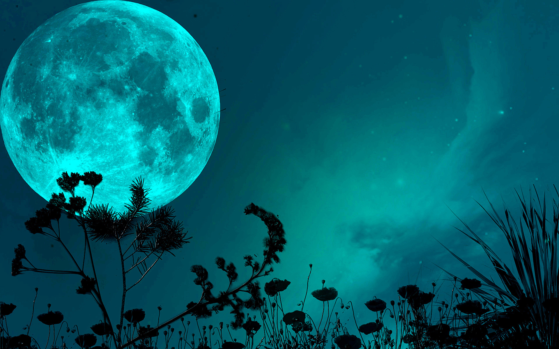 Laden Sie das Mond, Erde/natur-Bild kostenlos auf Ihren PC-Desktop herunter