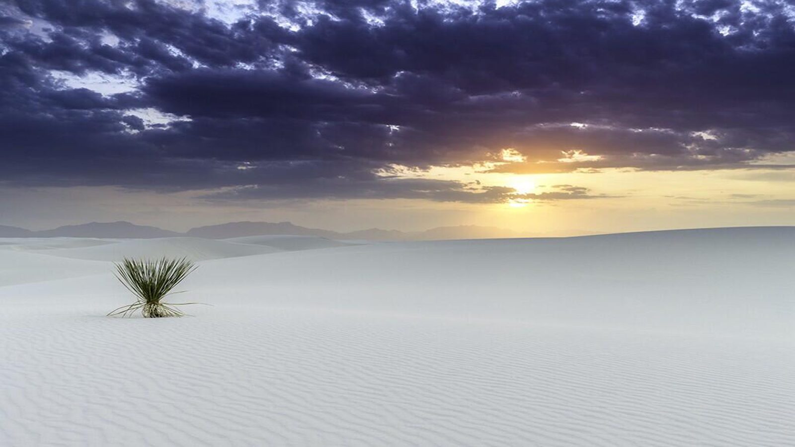  Desert HD Android Wallpapers