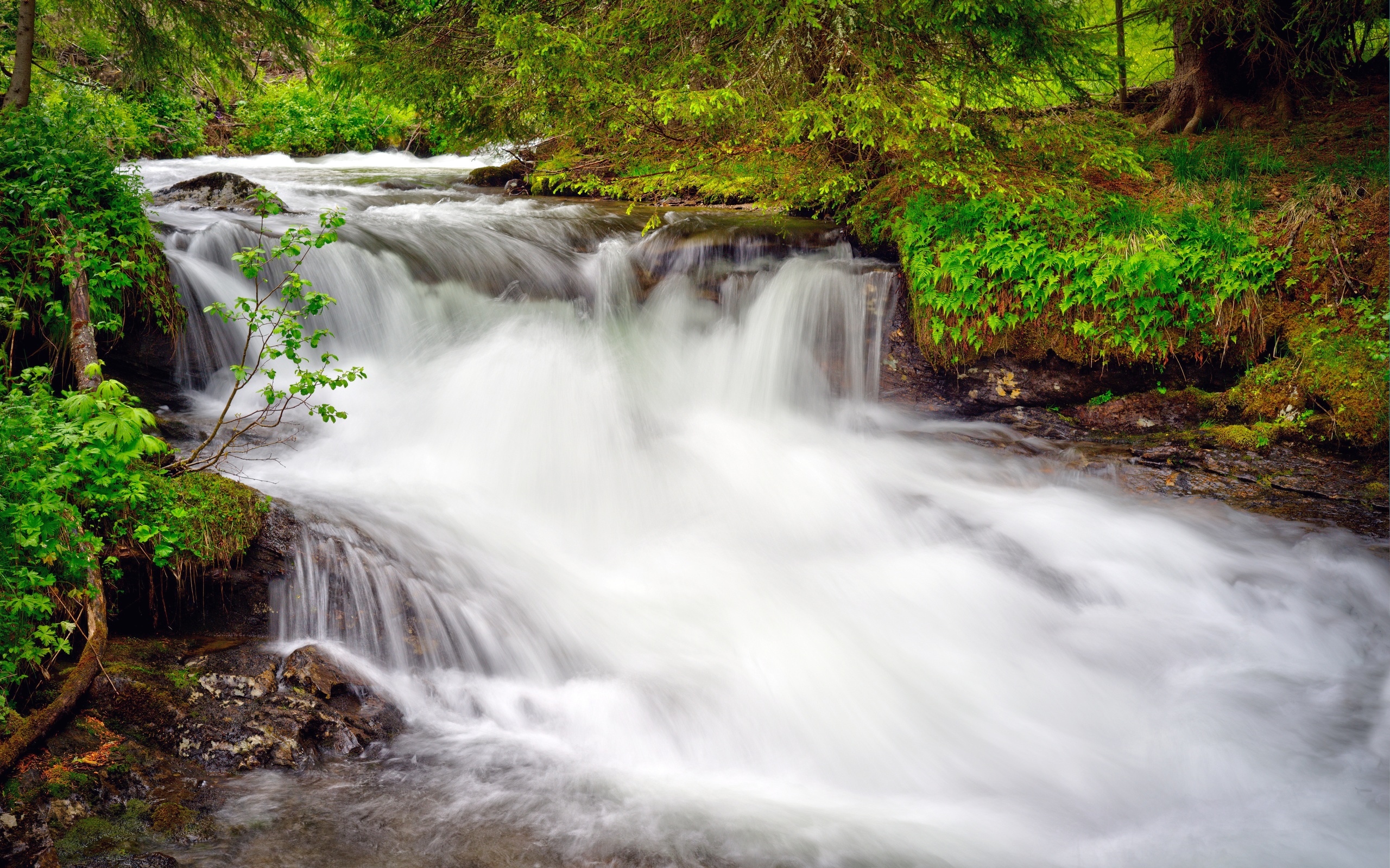 Download mobile wallpaper Waterfall, Forest, Earth, Stream, Greenery for free.