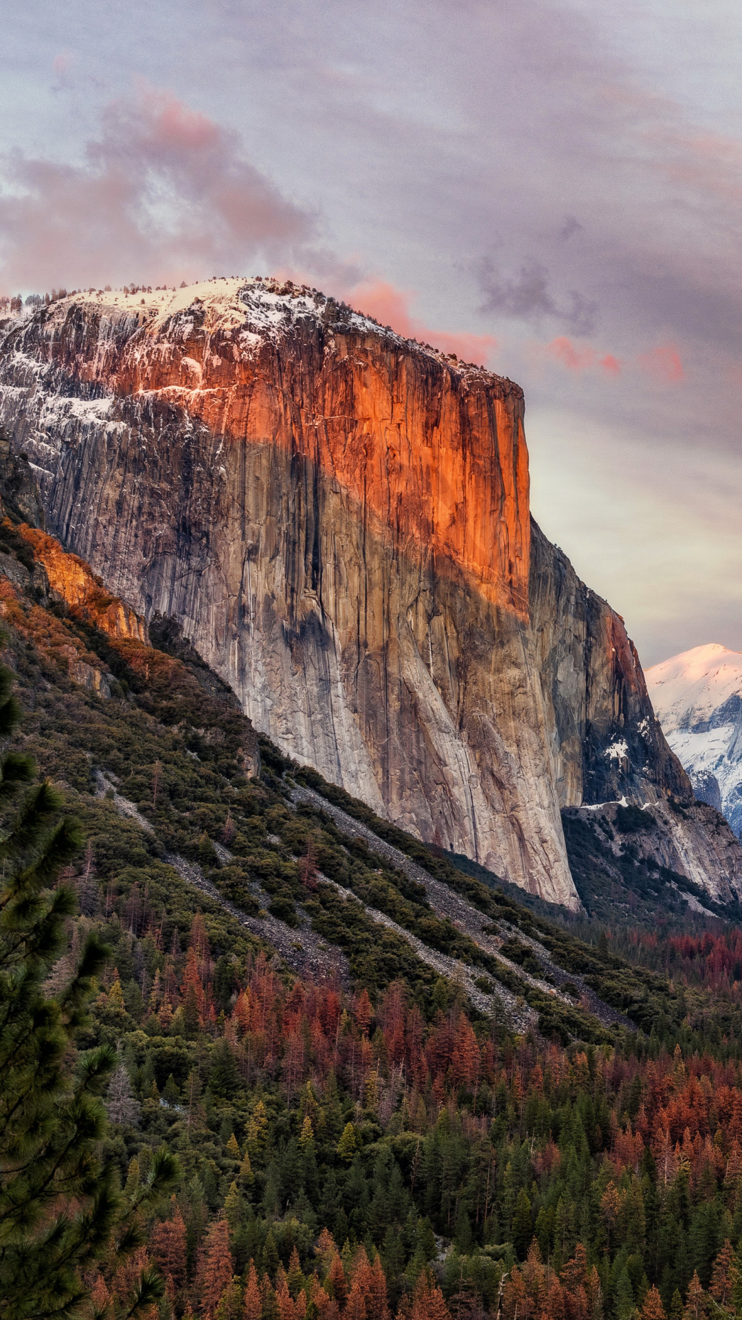Handy-Wallpaper Natur, Berg, Wasserfall, Wald, Cliff, Klippe, Gebirge, Nationalpark, Yosemite Nationalpark, Erde/natur kostenlos herunterladen.
