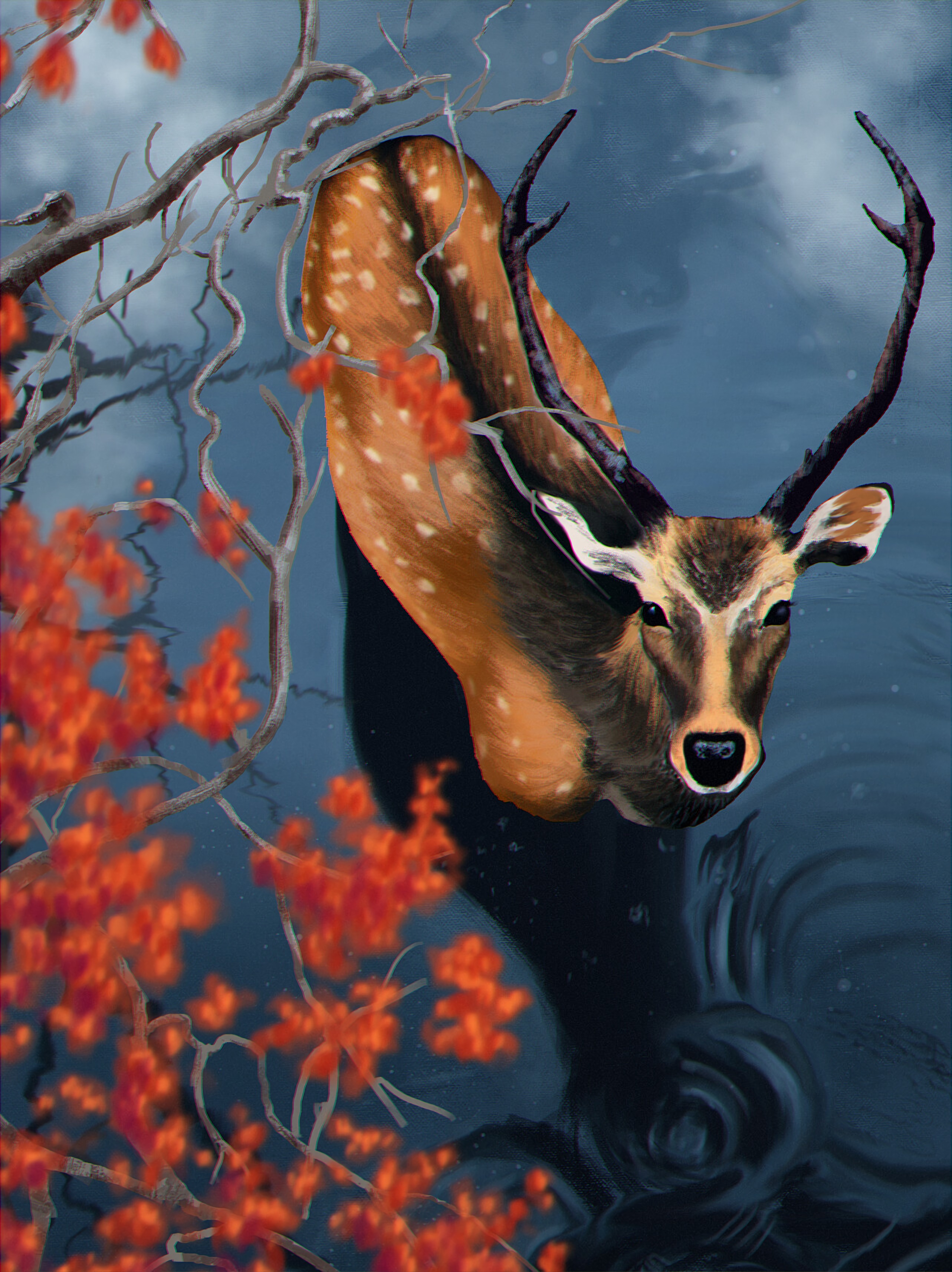 Free download wallpaper Water, Branches, Wildlife, Art, Deer on your PC desktop