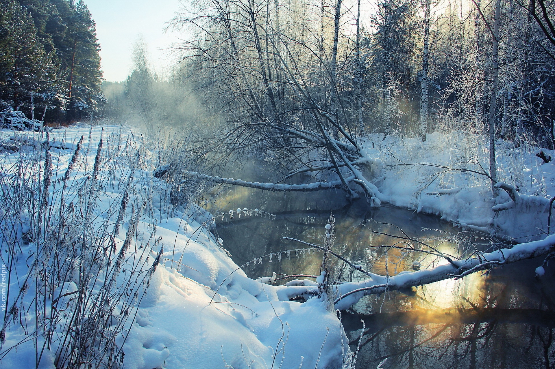 winter, landscape, nature, rivers, snow, shore, wood, tree, morning, frost, hoarfrost, shores