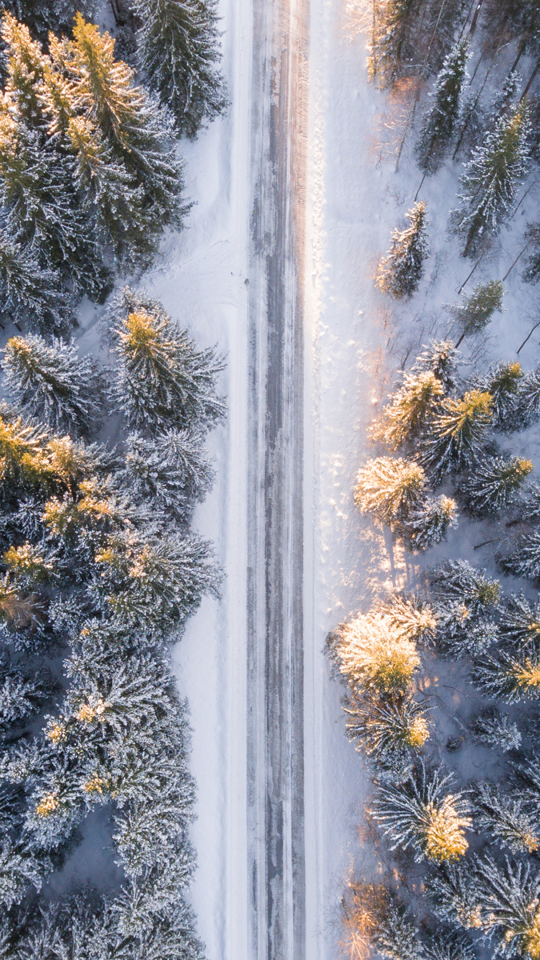 Téléchargez des papiers peints mobile Hiver, Forêt, Terre/nature gratuitement.