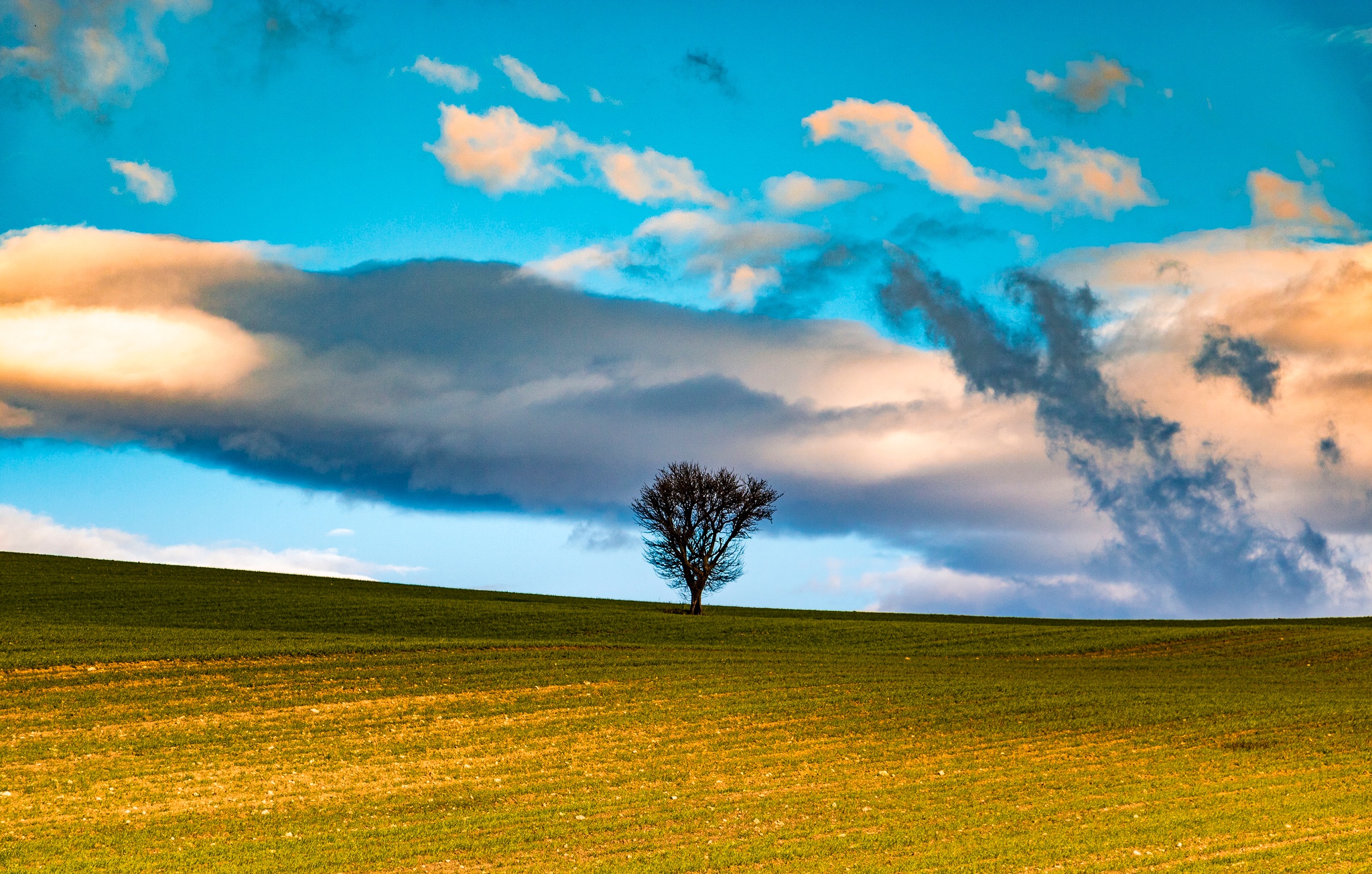 Free download wallpaper Nature, Trees, Sky, Tree, Earth, Field, Cloud, Lonely Tree on your PC desktop