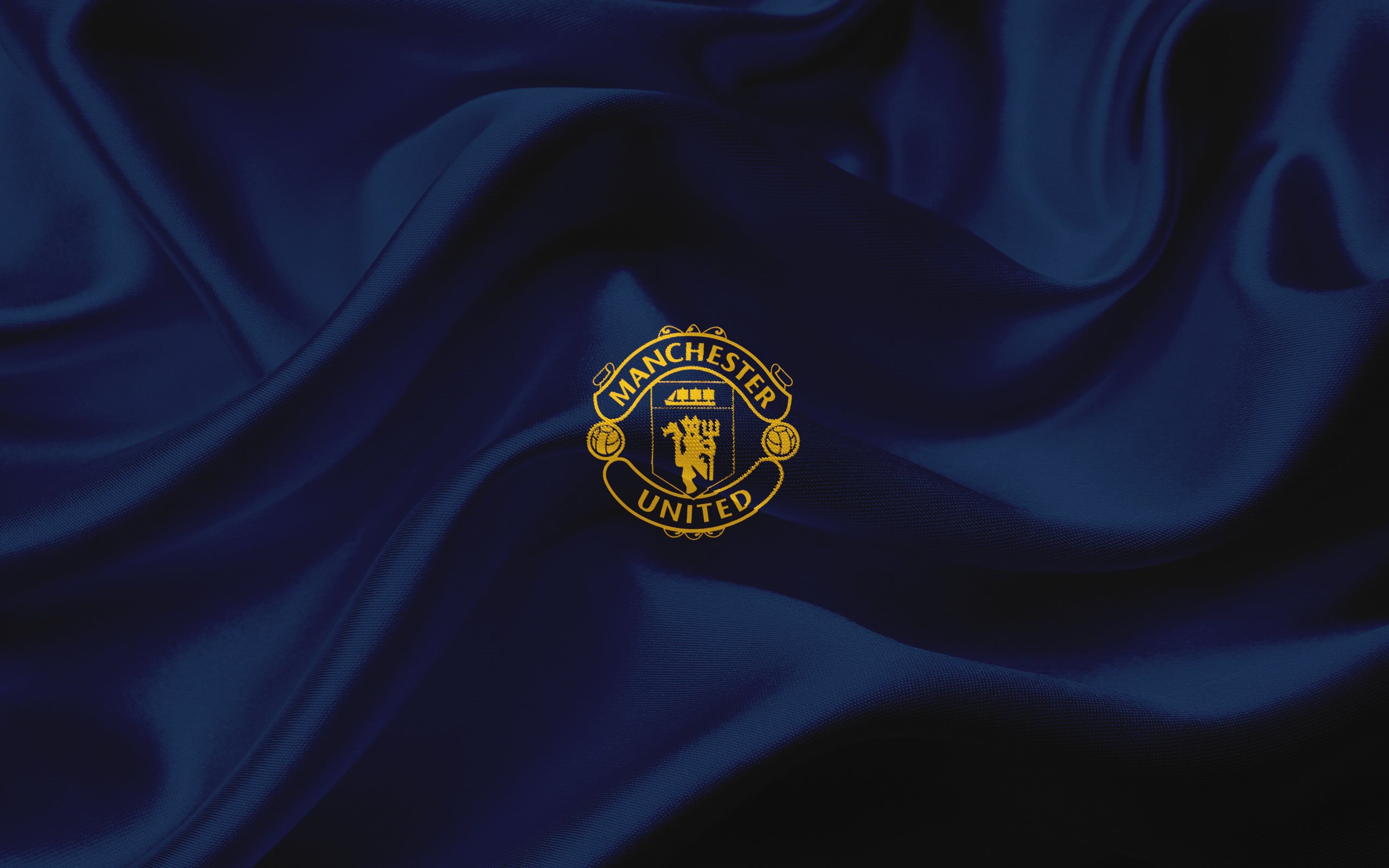 manchester united f c, soccer, sports, logo
