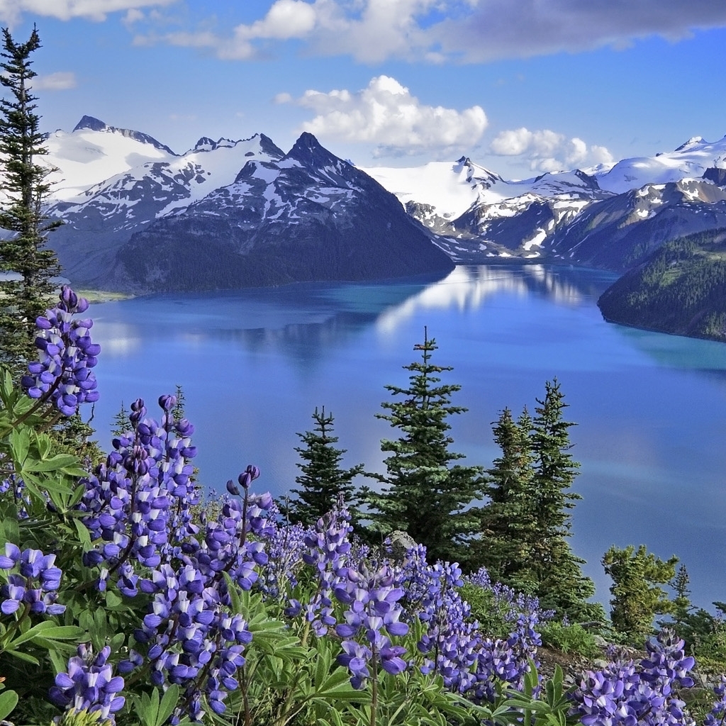 Descarga gratuita de fondo de pantalla para móvil de Paisaje, Cielo, Lagos, Ciudad, Montaña, Lago, Flor, Nube, Tierra/naturaleza.