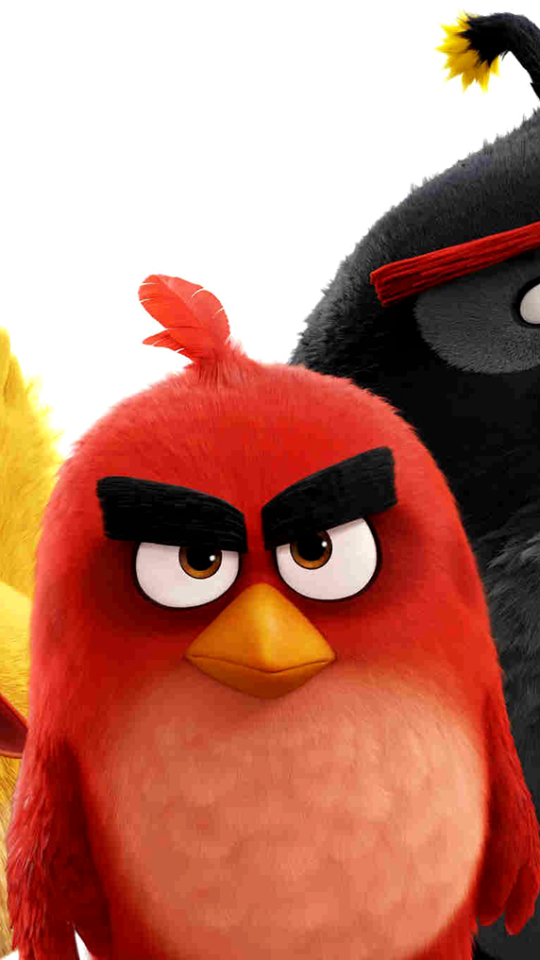 Скачать картинку Кино, Разгневанные Птички, Angry Birds В Кино в телефон бесплатно.