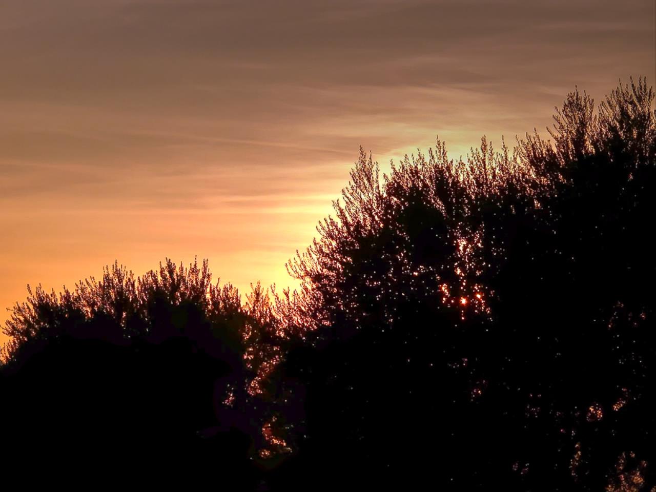 Téléchargez gratuitement l'image Coucher De Soleil, Terre/nature sur le bureau de votre PC