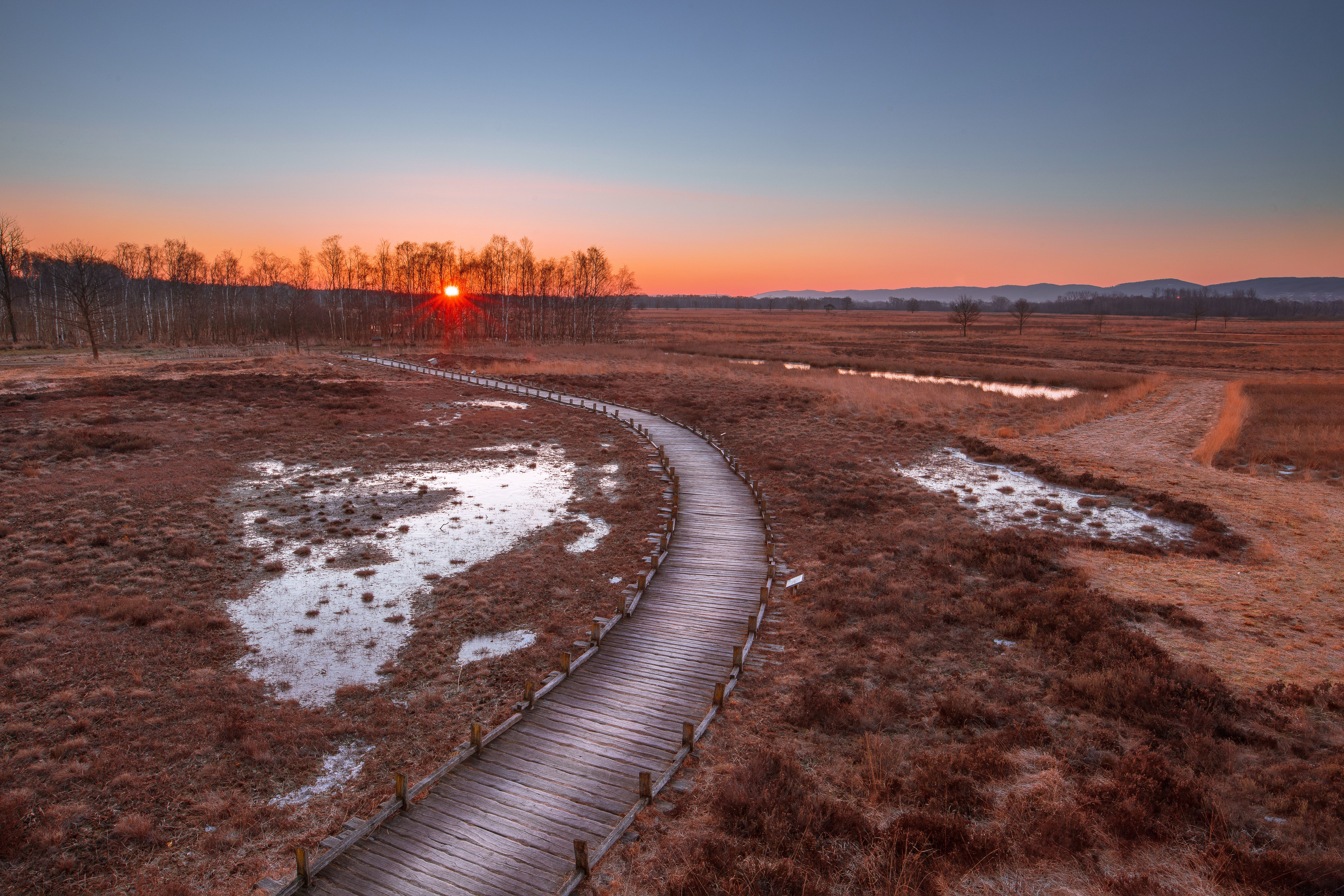 Free download wallpaper Trees, Sunset, Path, Nature, Grass, Wood, Wooden on your PC desktop