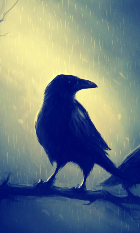 Download mobile wallpaper Birds, Dark, Bird, Animal, Raven for free.