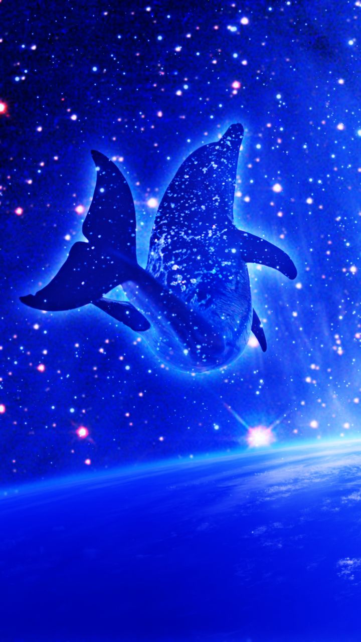 Download mobile wallpaper Animal, Space, Dolphin for free.