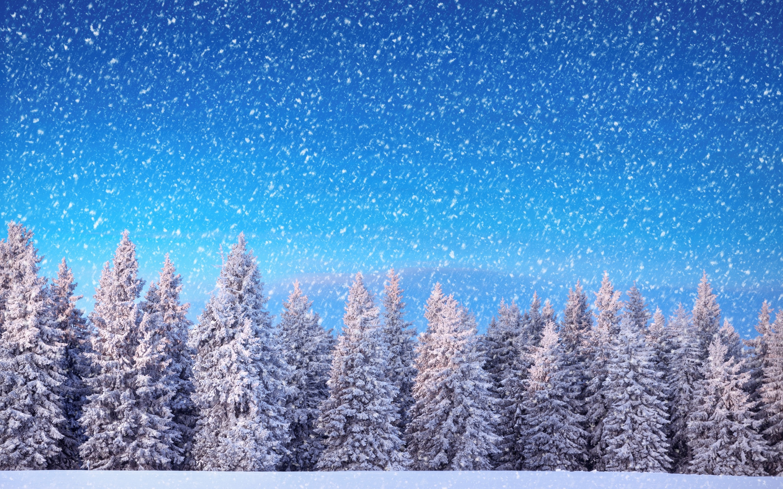 Скачать картинку Зима, Снег, Дерево, Сосна, Снегопад, Земля/природа в телефон бесплатно.