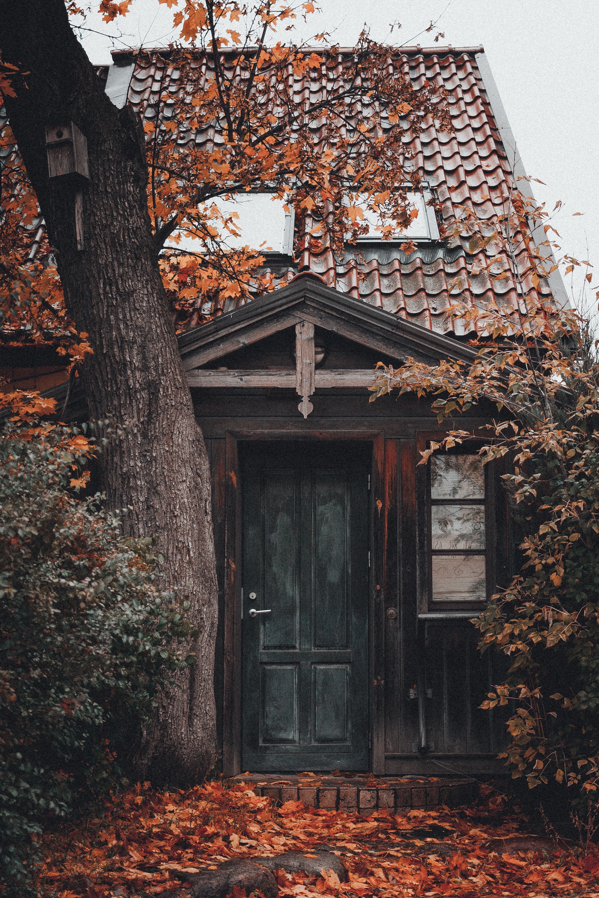 Download mobile wallpaper Wood, Building, Door, Foliage, House, Tree, Nature for free.