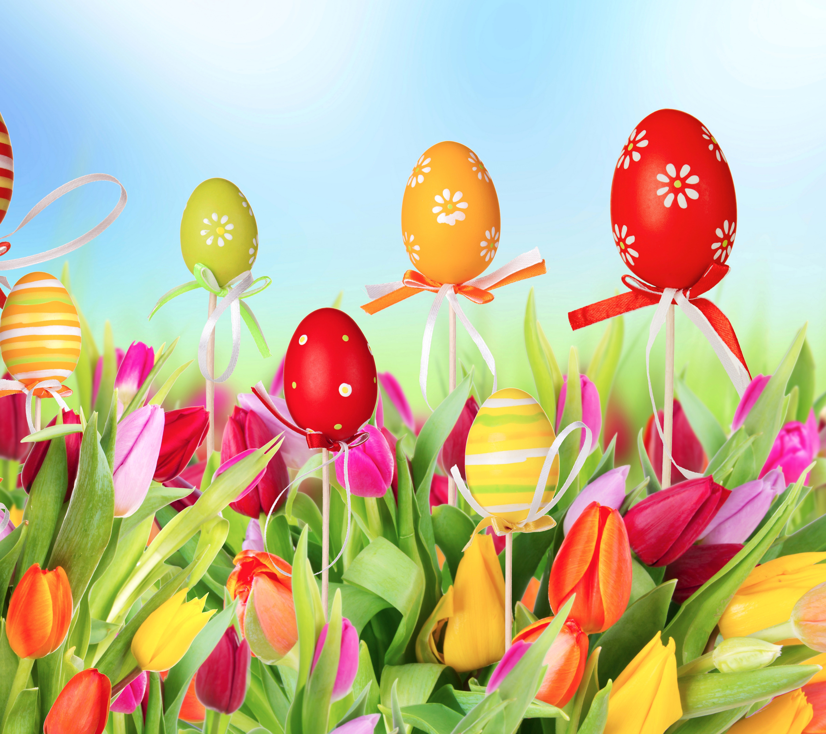 1272075 télécharger l'image vacances, pâques, tulipe, vacance, fleur, œuf de pâques, coloré, œuf, oeuf - fonds d'écran et économiseurs d'écran gratuits