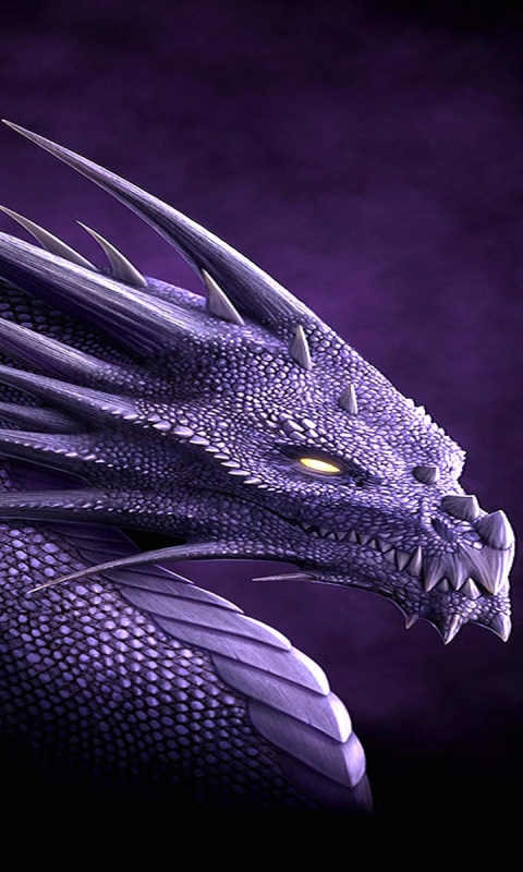 Download mobile wallpaper Fantasy, Purple, Dragon for free.
