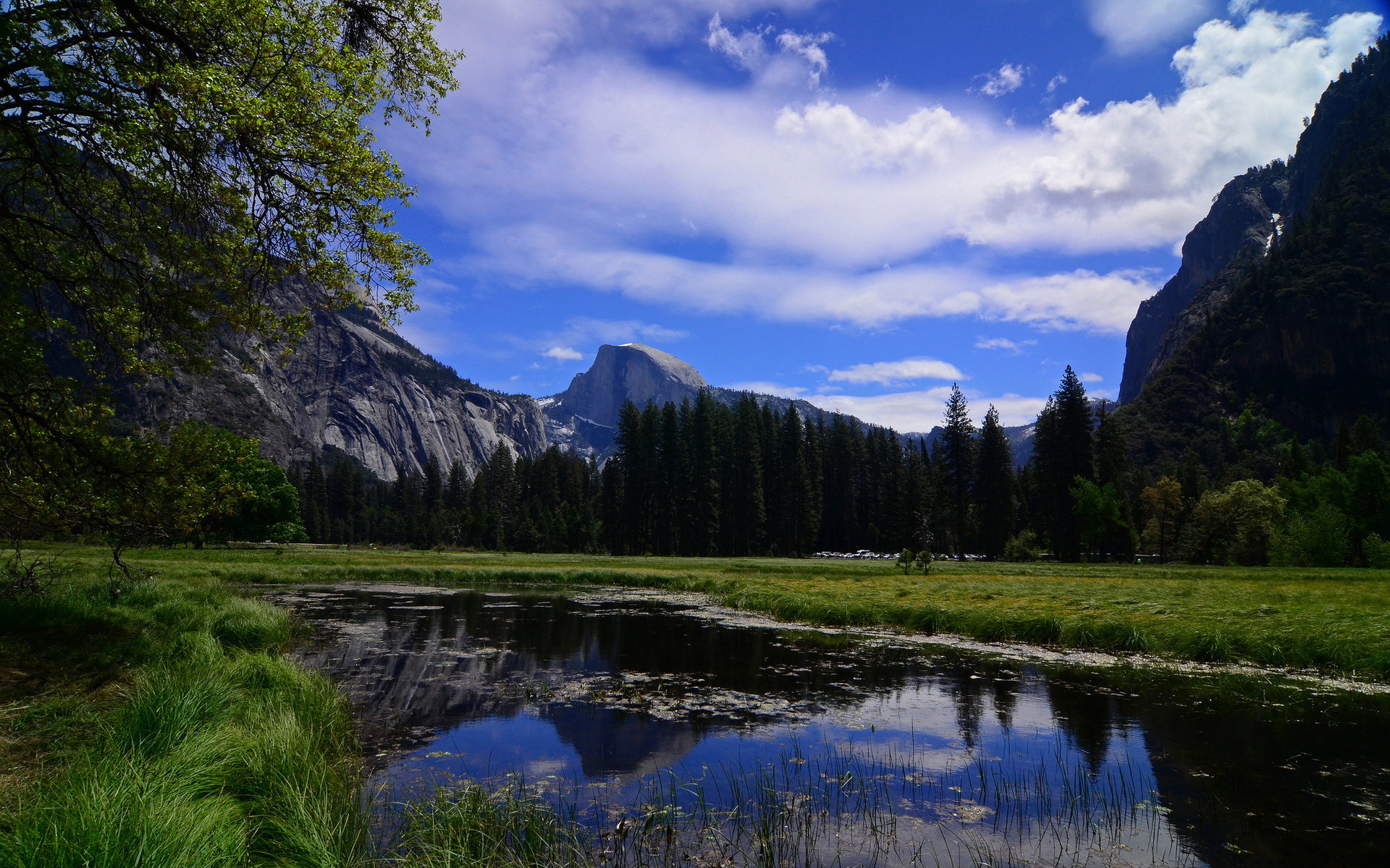 597736壁紙のダウンロード地球, 反射, カリフォルニア, 山, 川, 木, ヨセミテ国立公園-スクリーンセーバーと写真を無料で