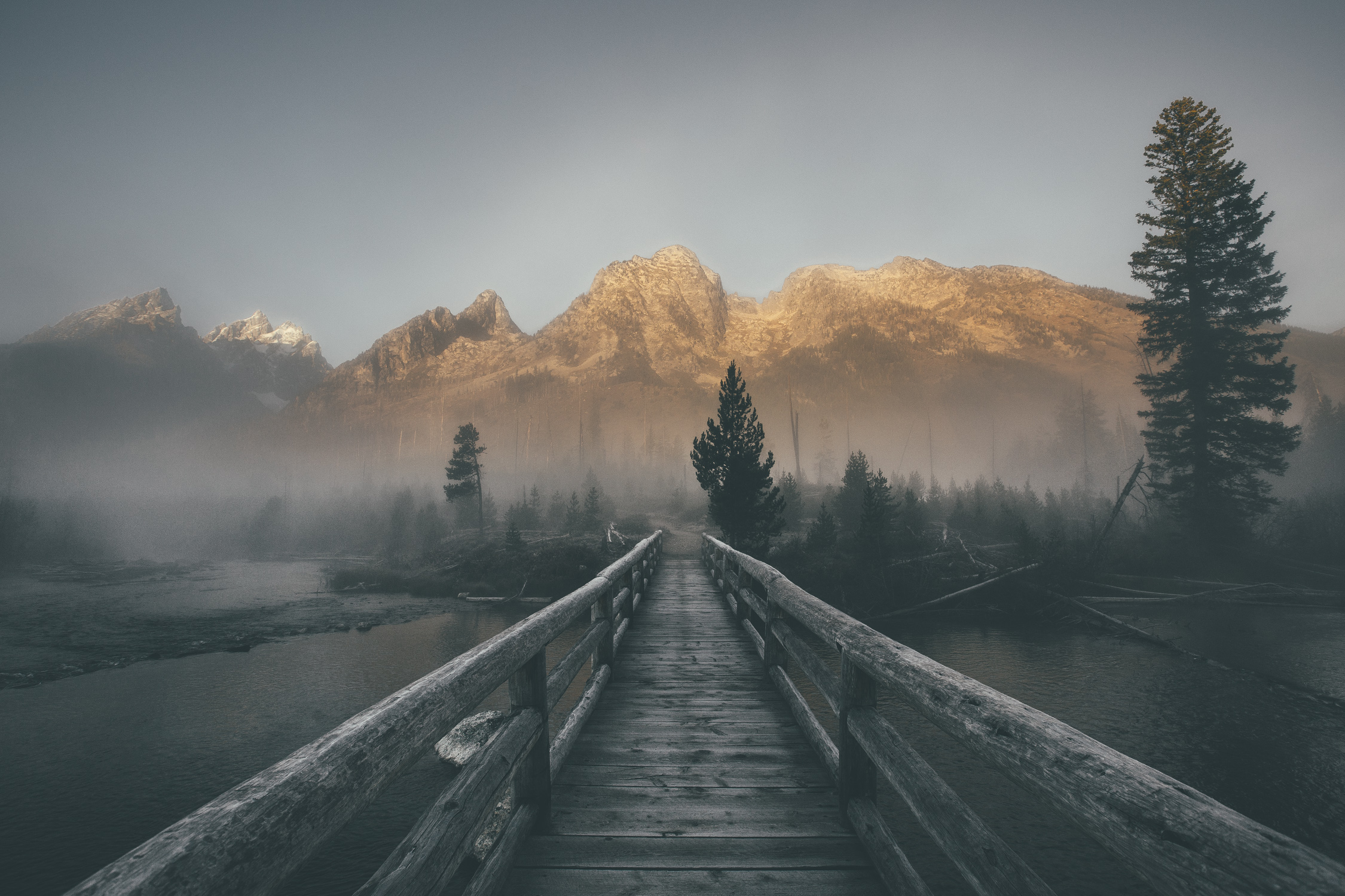 fog, mountain, river, bridge, landscape, man made, tree, bridges