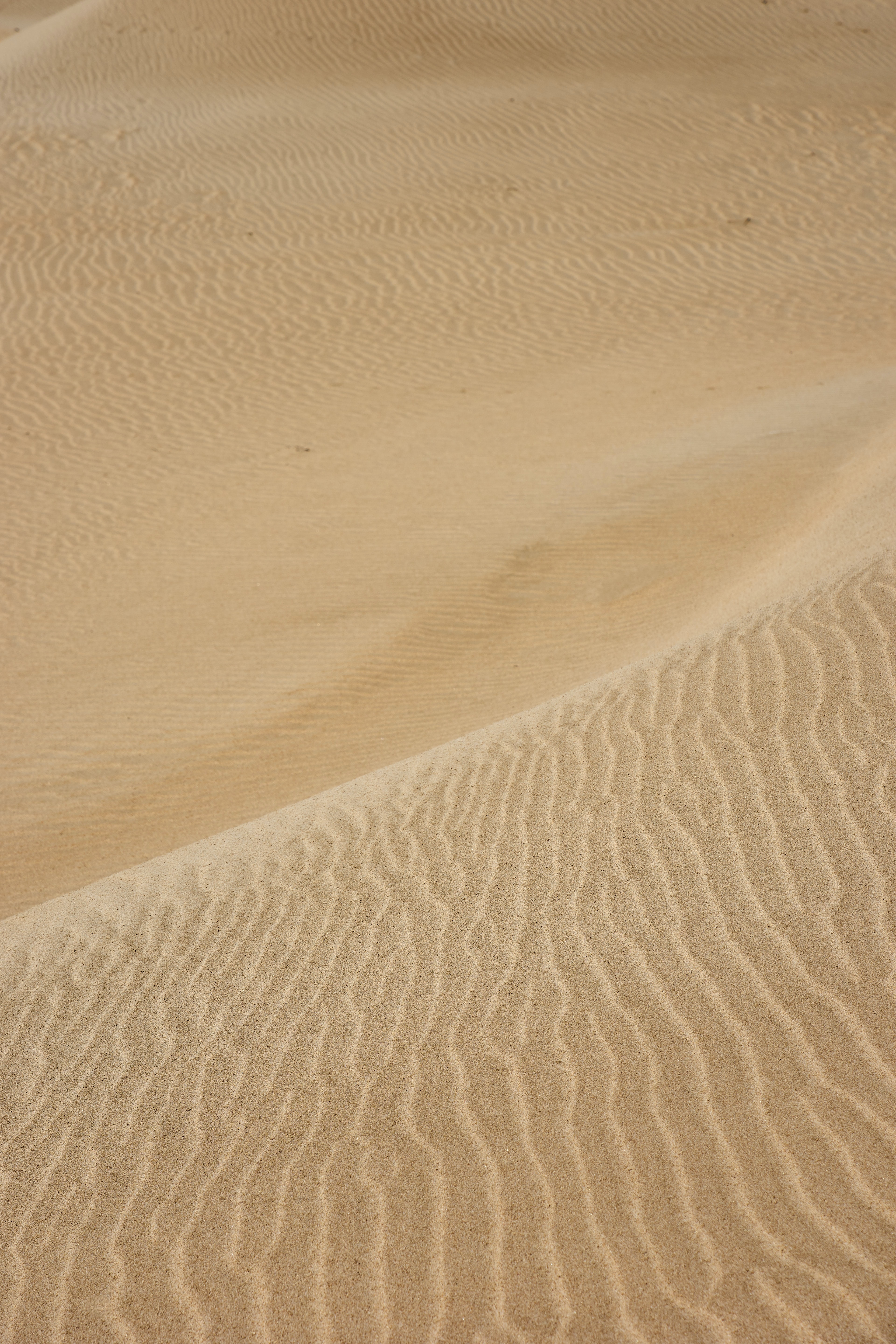 nature, waves, sand, desert, traces, dunes wallpapers for tablet
