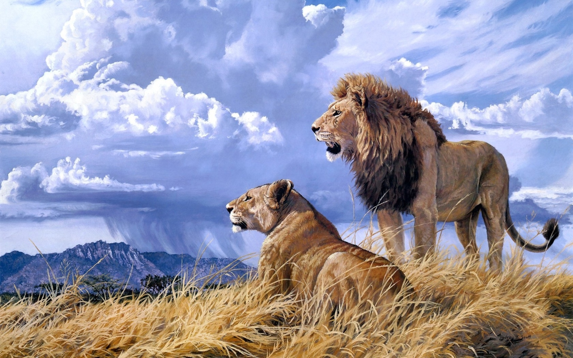271944 скачать картинку львица, животные, лев, пара, кошки - обои и заставки бесплатно
