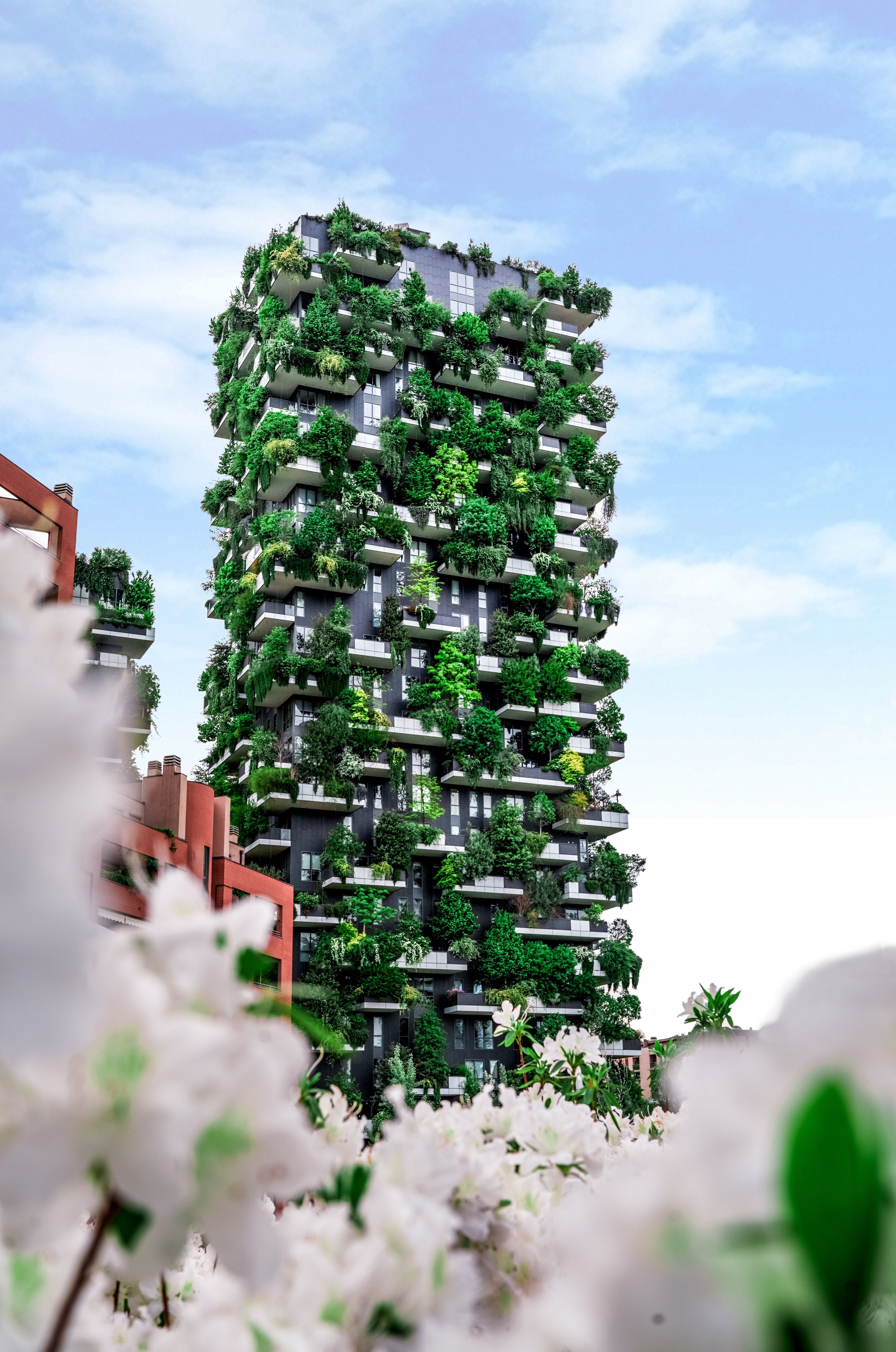 plants, cities, architecture, building, house, modern, up to date, eco
