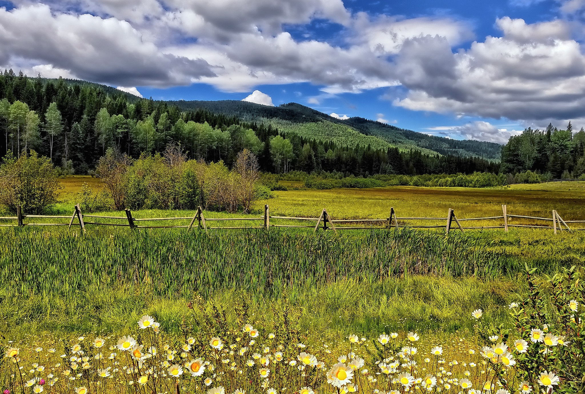 Handy-Wallpaper Landschaft, Erde/natur kostenlos herunterladen.