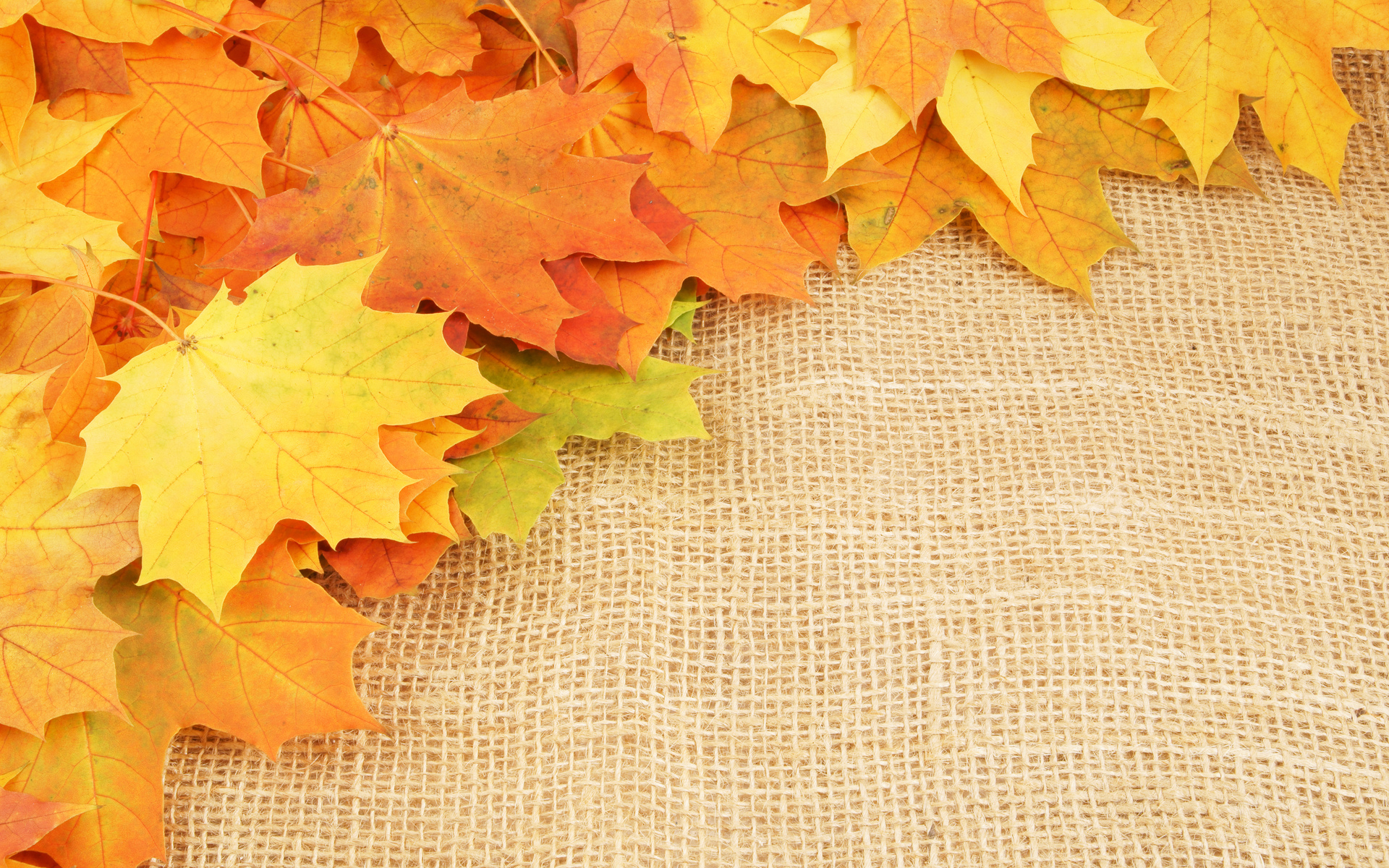 Download mobile wallpaper Nature, Leaf, Fall, Earth, Season for free.