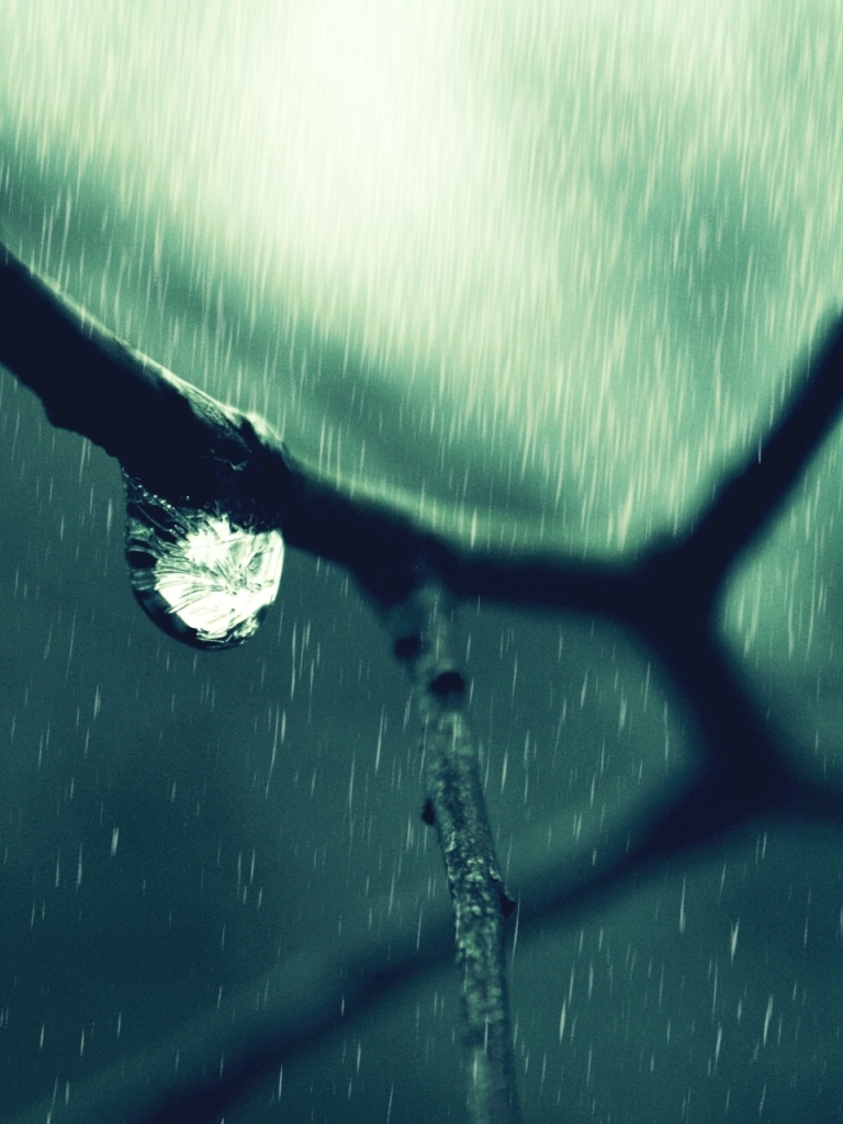 Download mobile wallpaper Rain, Photography, Water Drop for free.