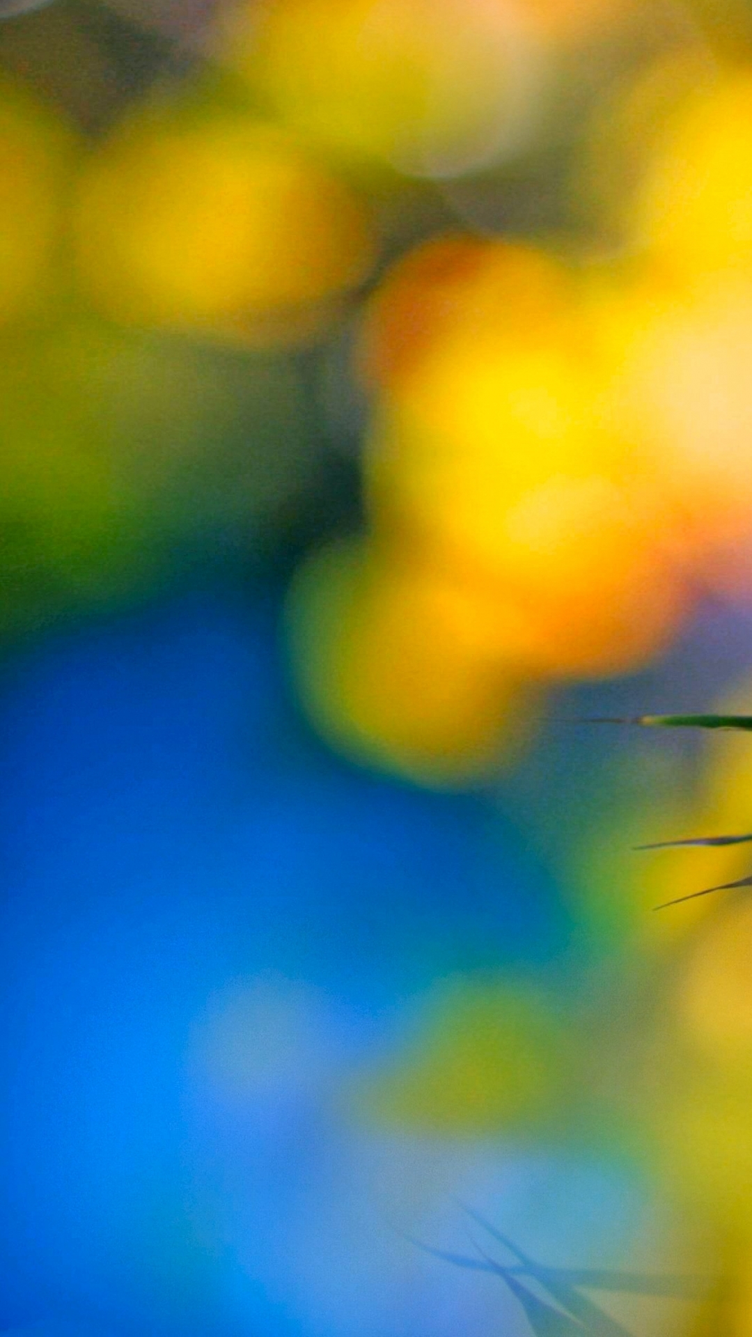 Descarga gratuita de fondo de pantalla para móvil de Naturaleza, Vistoso, Difuminar, Primavera, Bokeh, Soleado, Tierra/naturaleza, Difuminado.