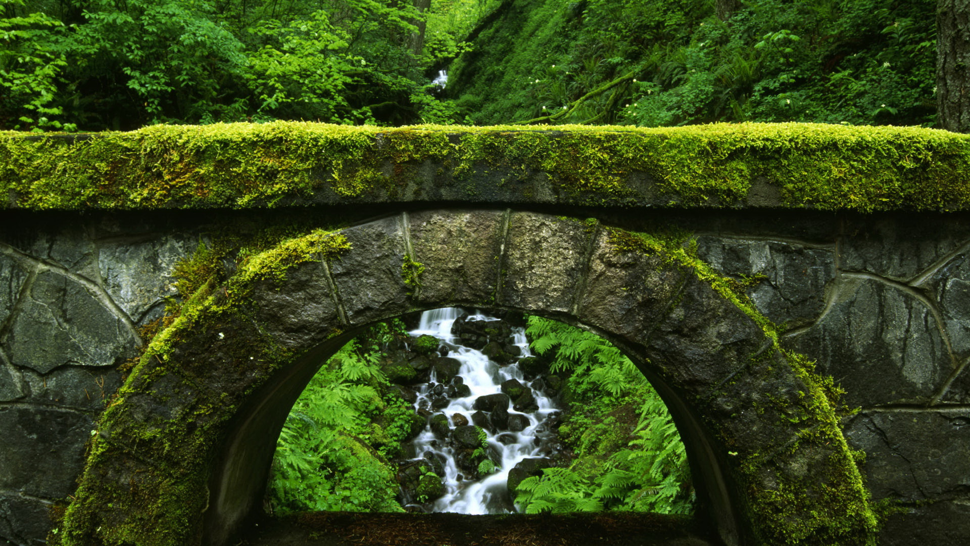 Descarga gratis la imagen Rio, Tierra/naturaleza en el escritorio de tu PC