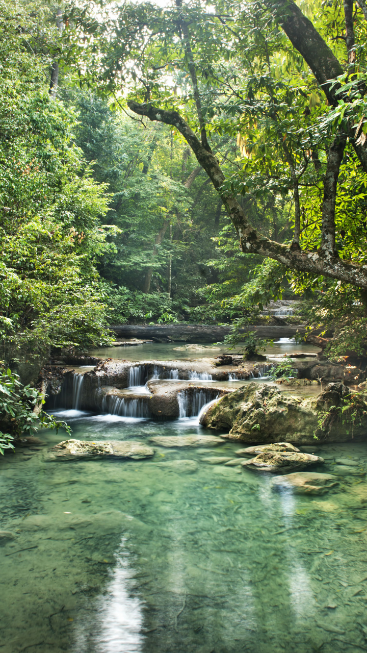 Descarga gratuita de fondo de pantalla para móvil de Naturaleza, Rio, Bosque, Tierra/naturaleza.