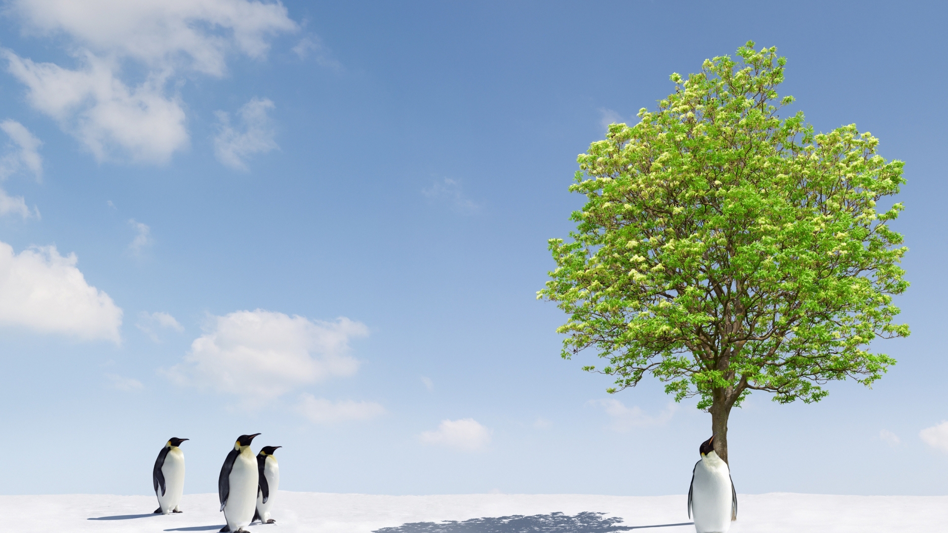 Free download wallpaper Animals, Pinguins, Birds on your PC desktop